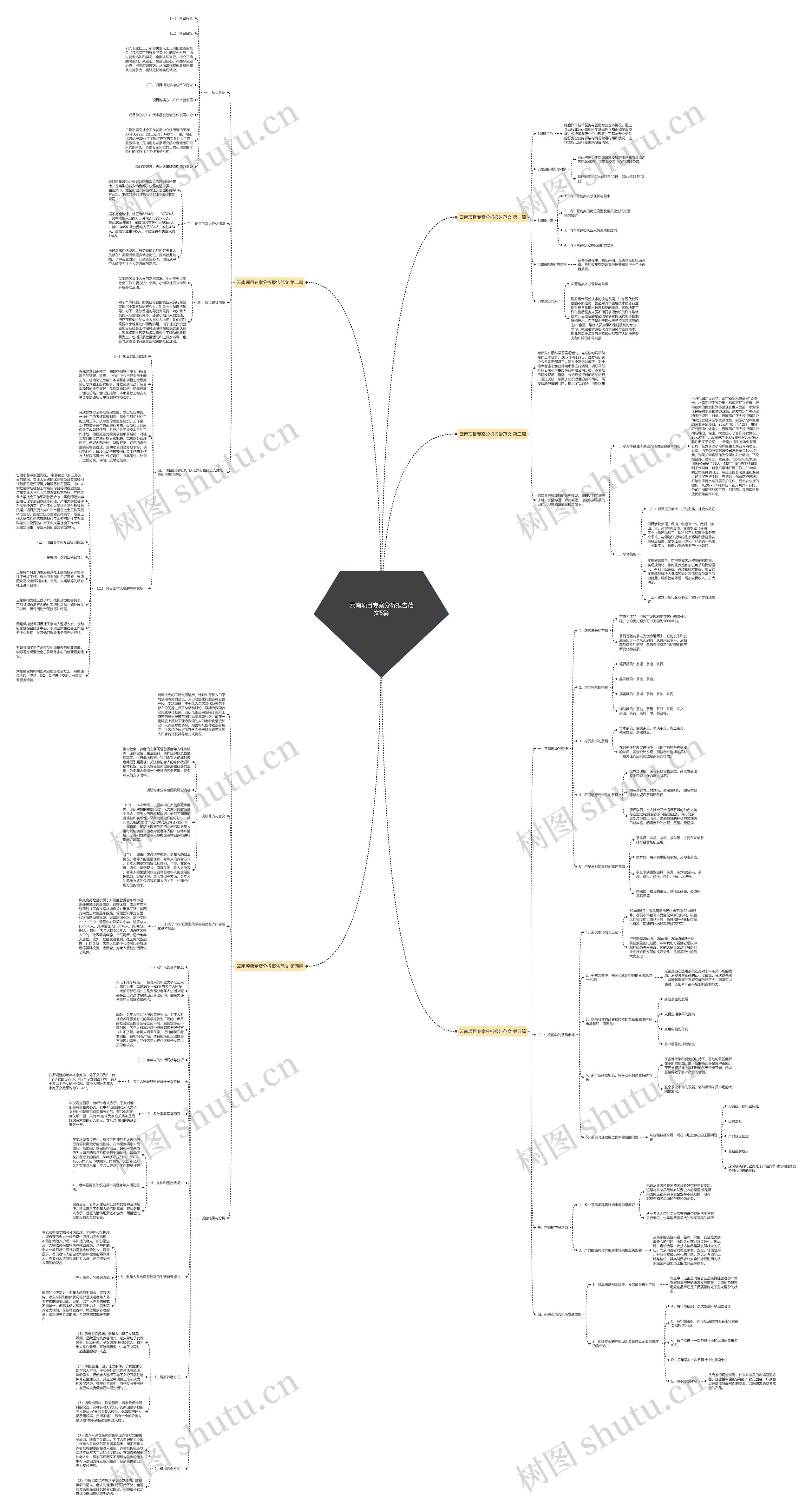 云南项目专案分析报告范文5篇思维导图