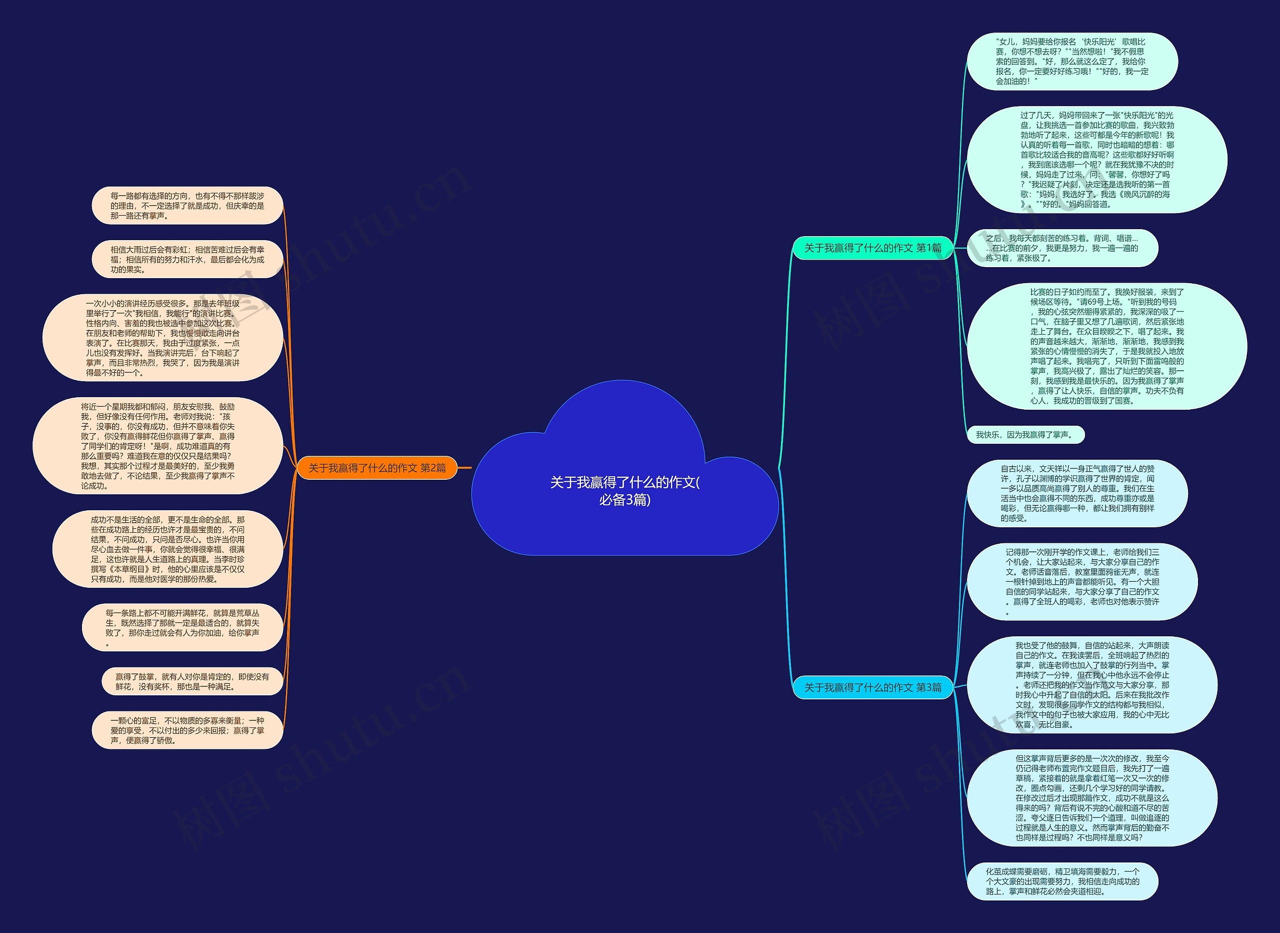 关于我赢得了什么的作文(必备3篇)思维导图