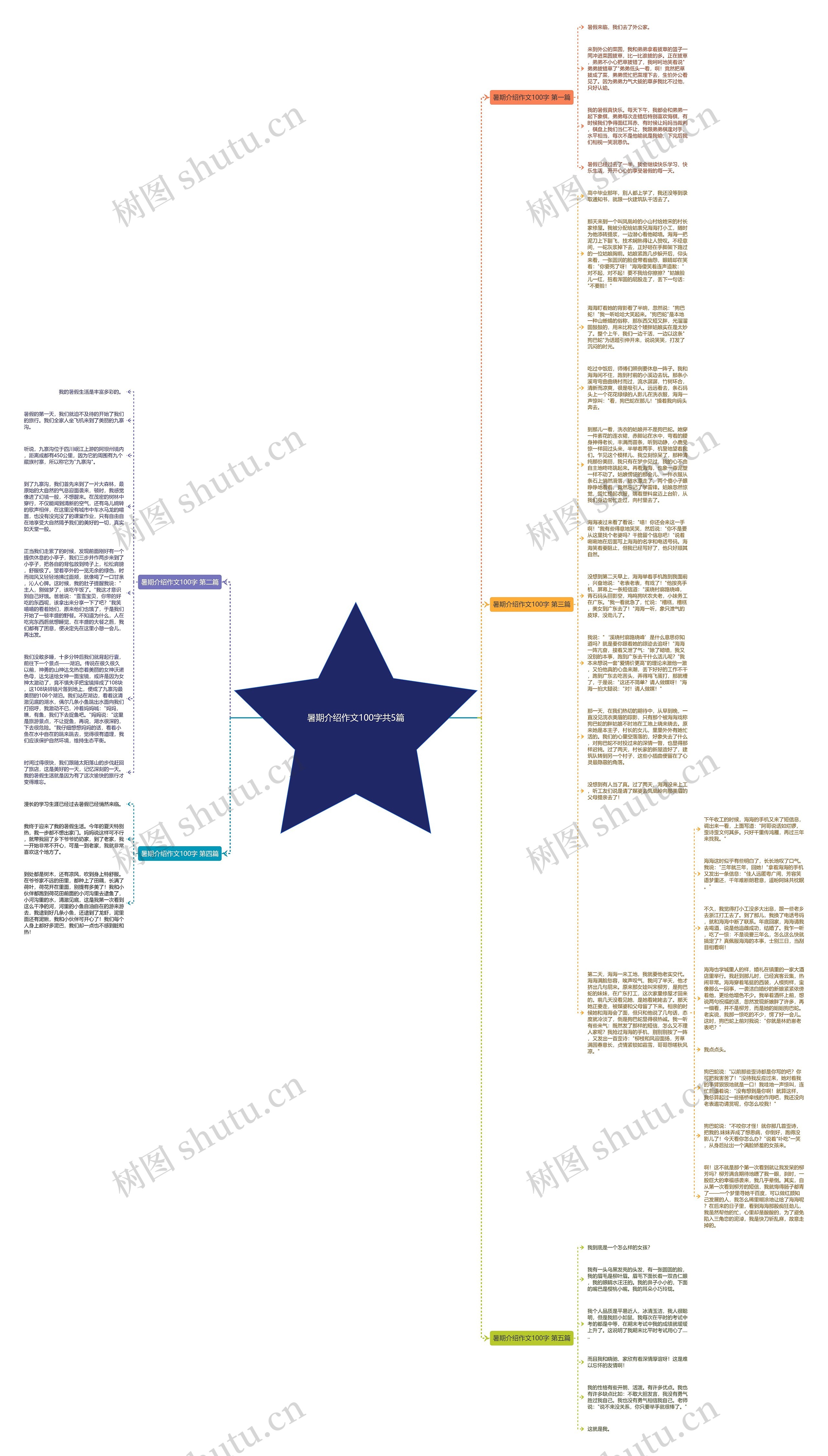 暑期介绍作文100字共5篇思维导图