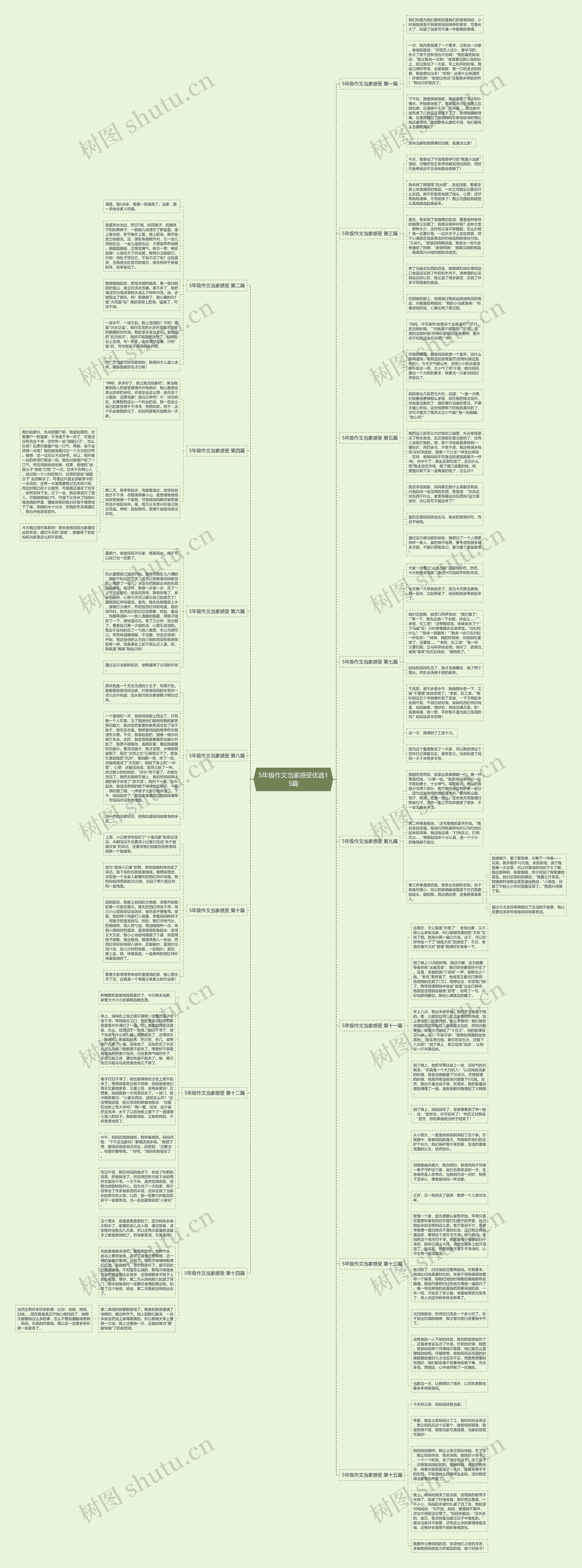 5年级作文当家感受优选15篇思维导图