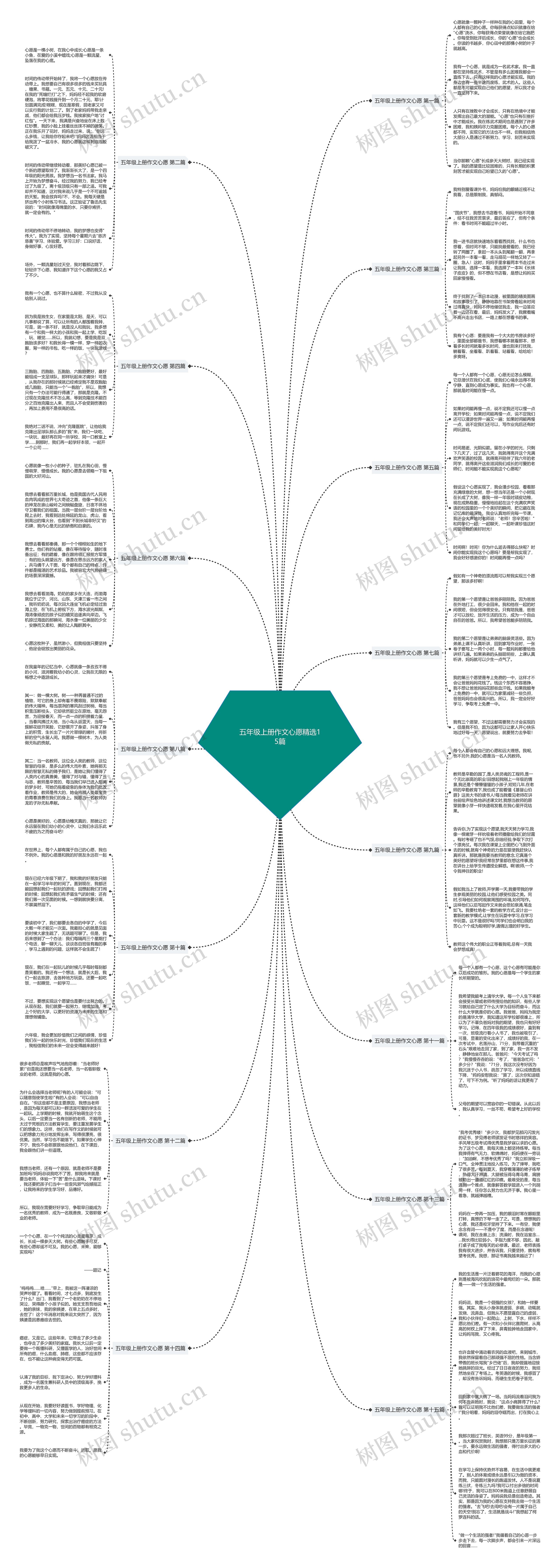 五年级上册作文心愿精选15篇思维导图