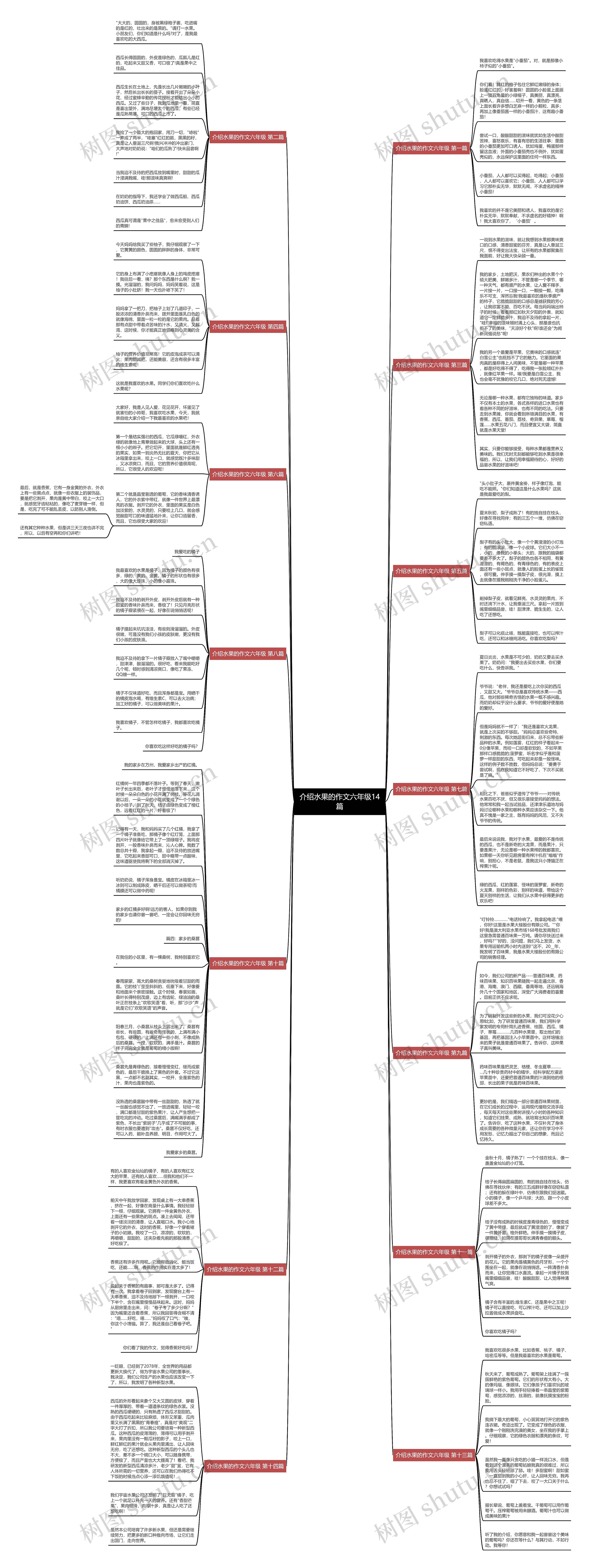 介绍水果的作文六年级14篇思维导图