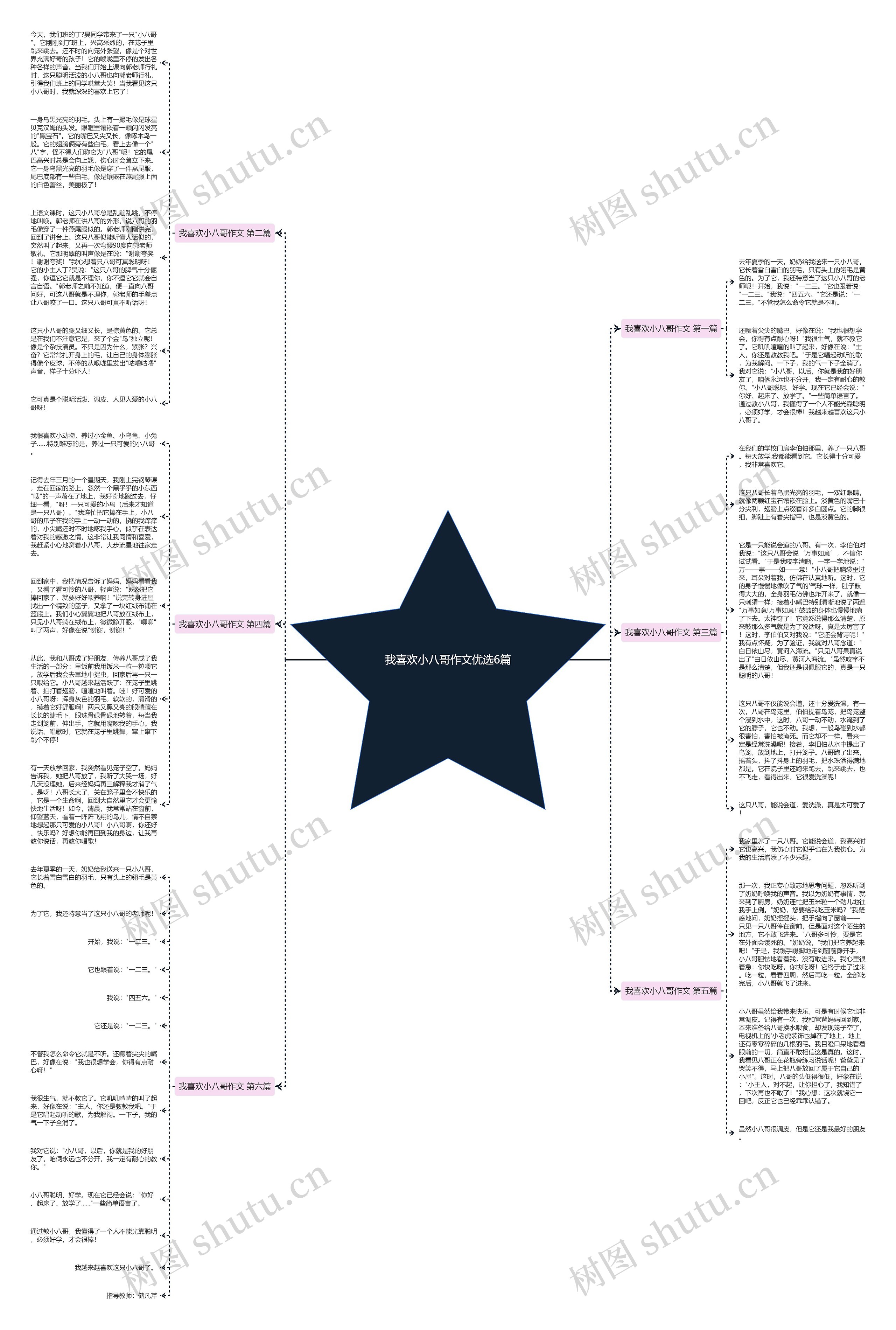 我喜欢小八哥作文优选6篇思维导图