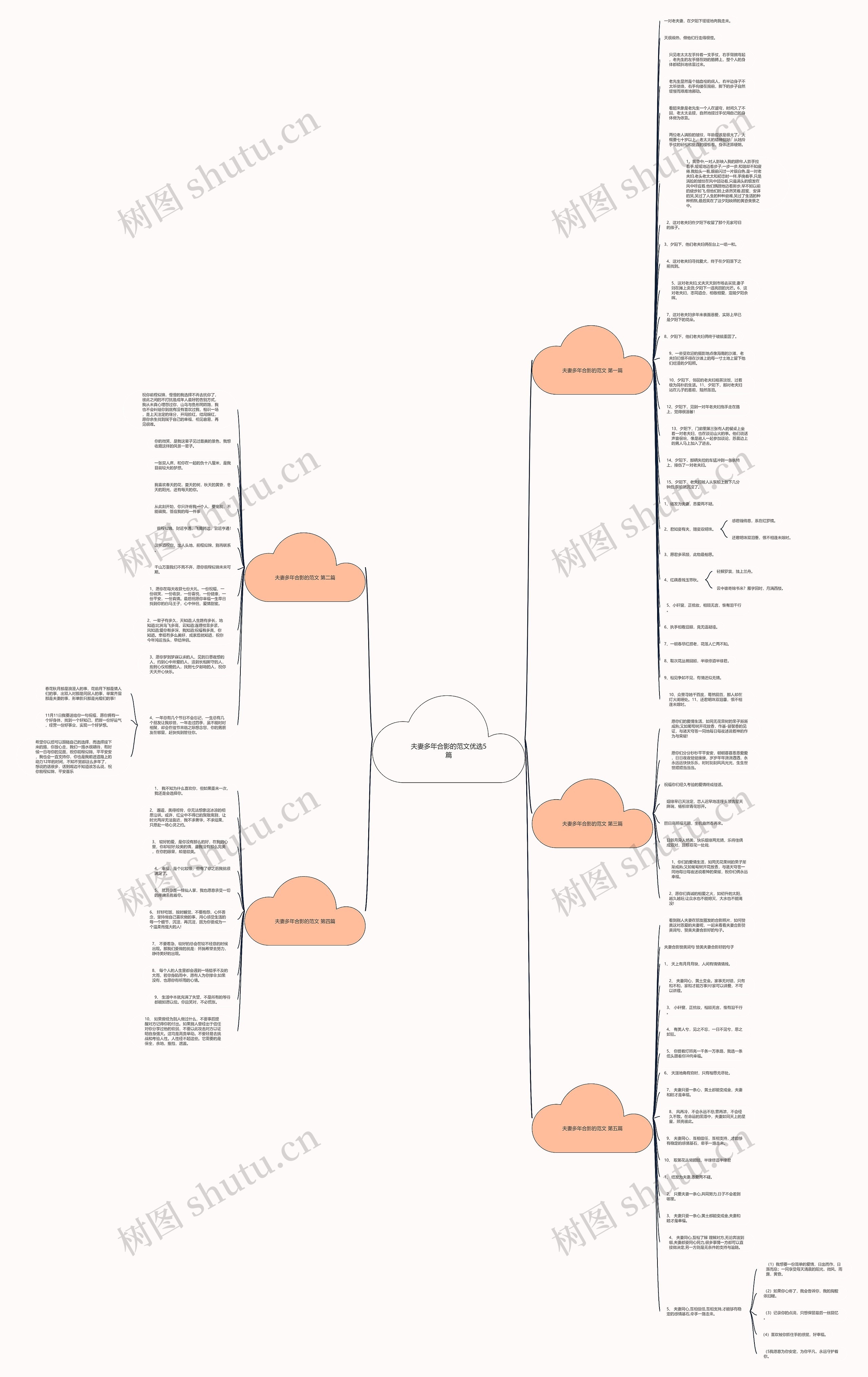 夫妻多年合影的范文优选5篇思维导图
