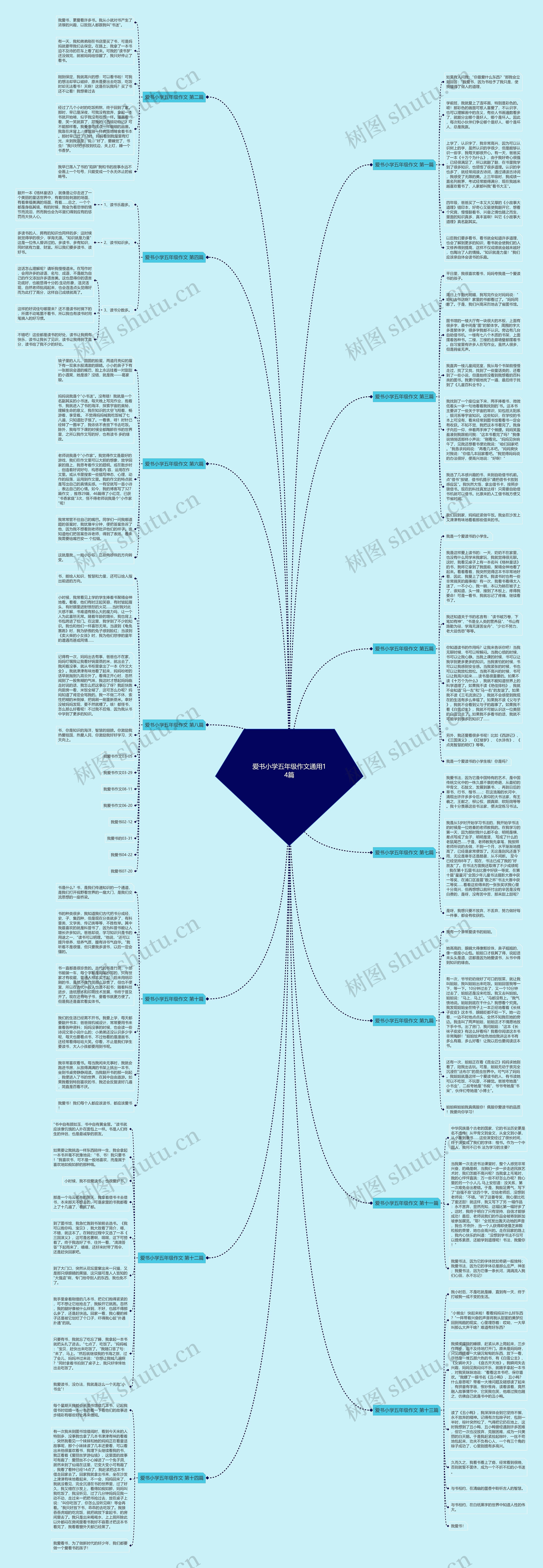 爱书小学五年级作文通用14篇思维导图