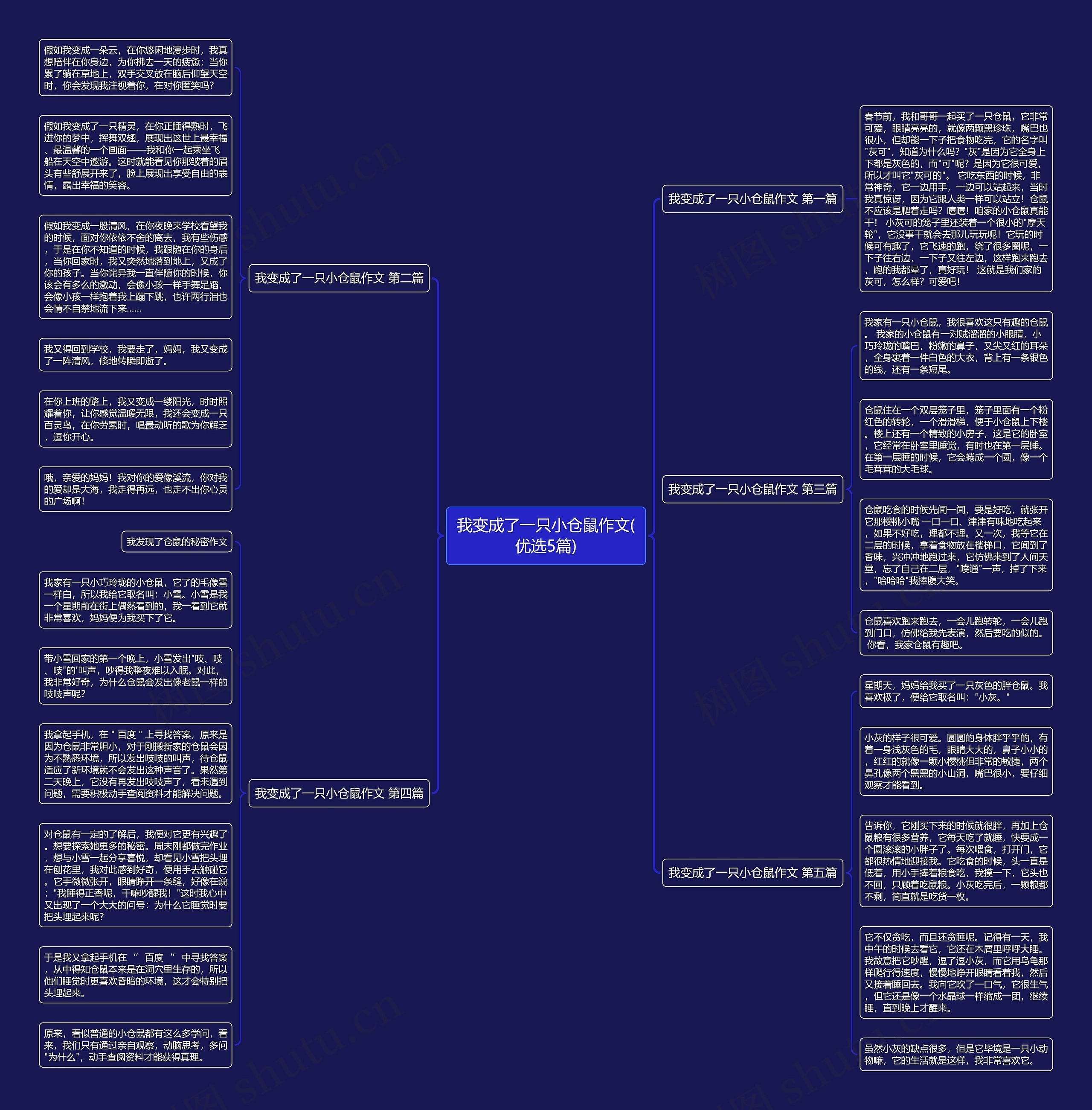 我变成了一只小仓鼠作文(优选5篇)思维导图