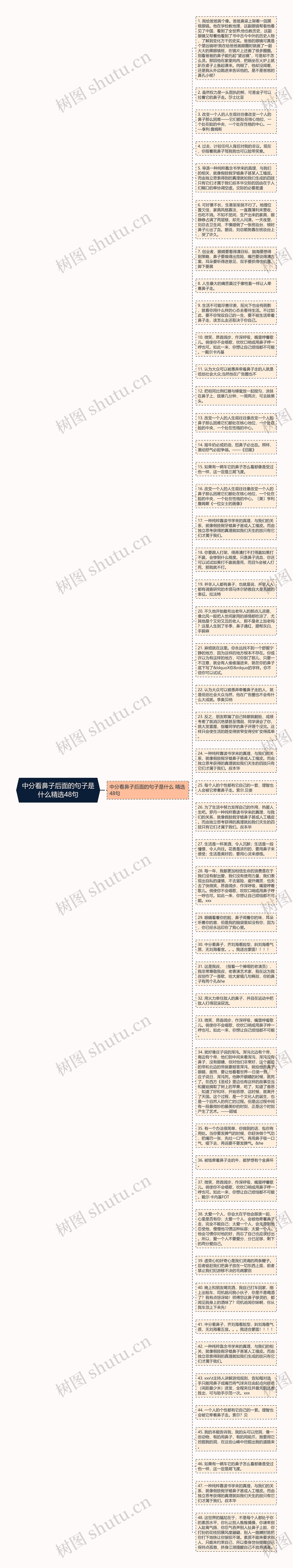 中分看鼻子后面的句子是什么精选48句思维导图