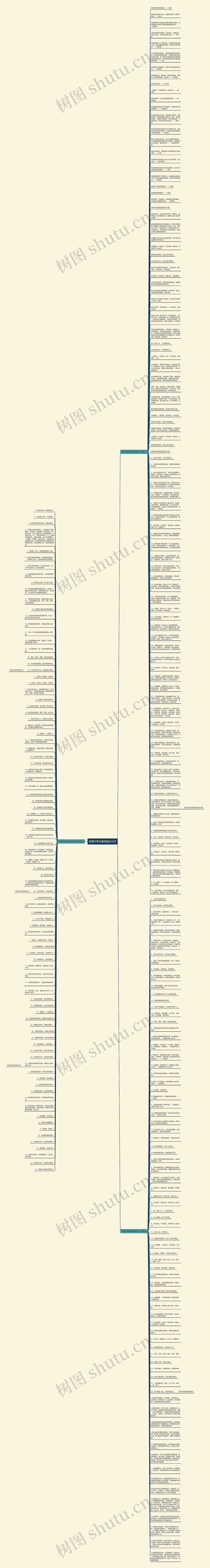 体育中考训练的励志句子思维导图