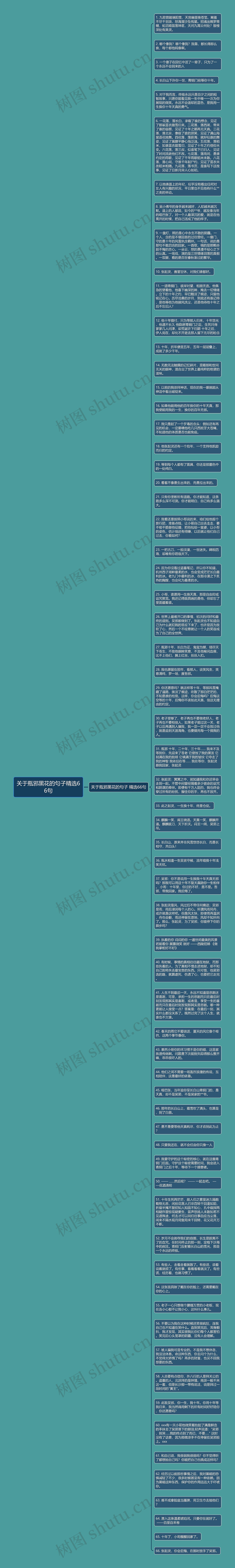 关于瓶邪黑花的句子精选66句思维导图