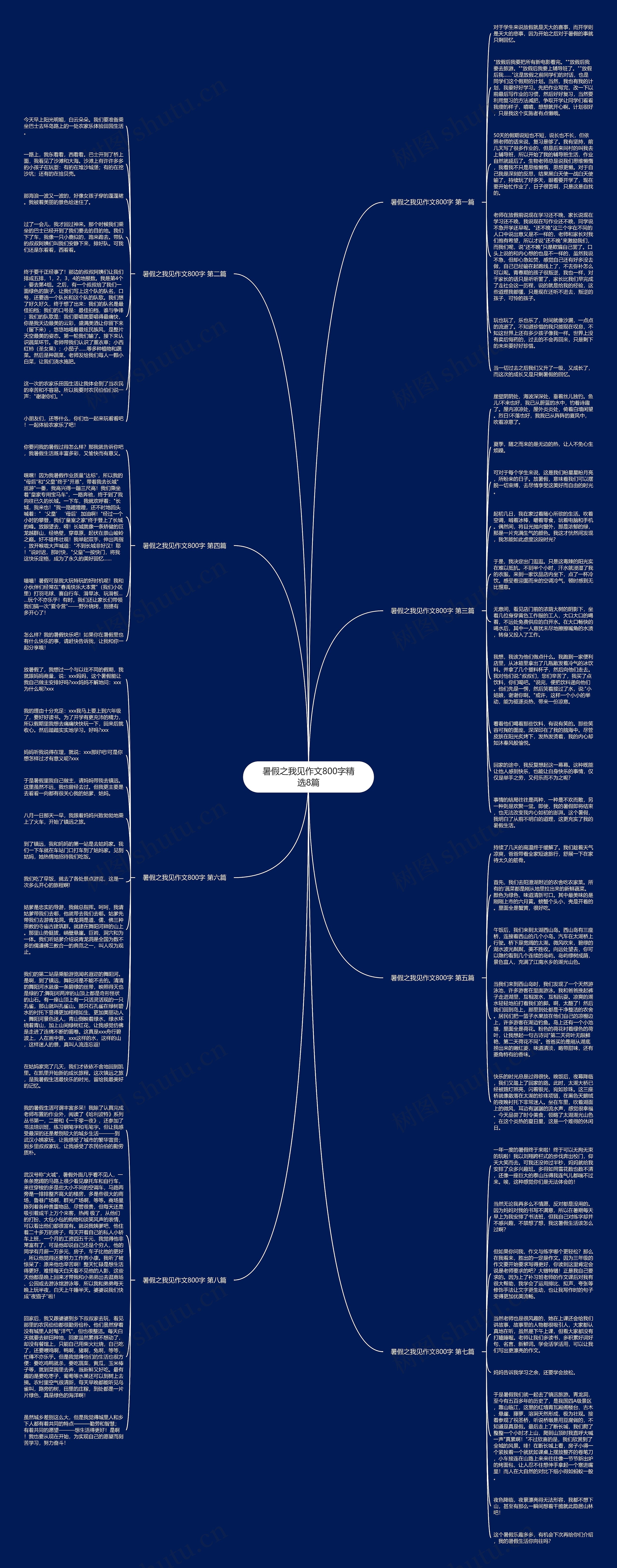 暑假之我见作文800字精选8篇思维导图