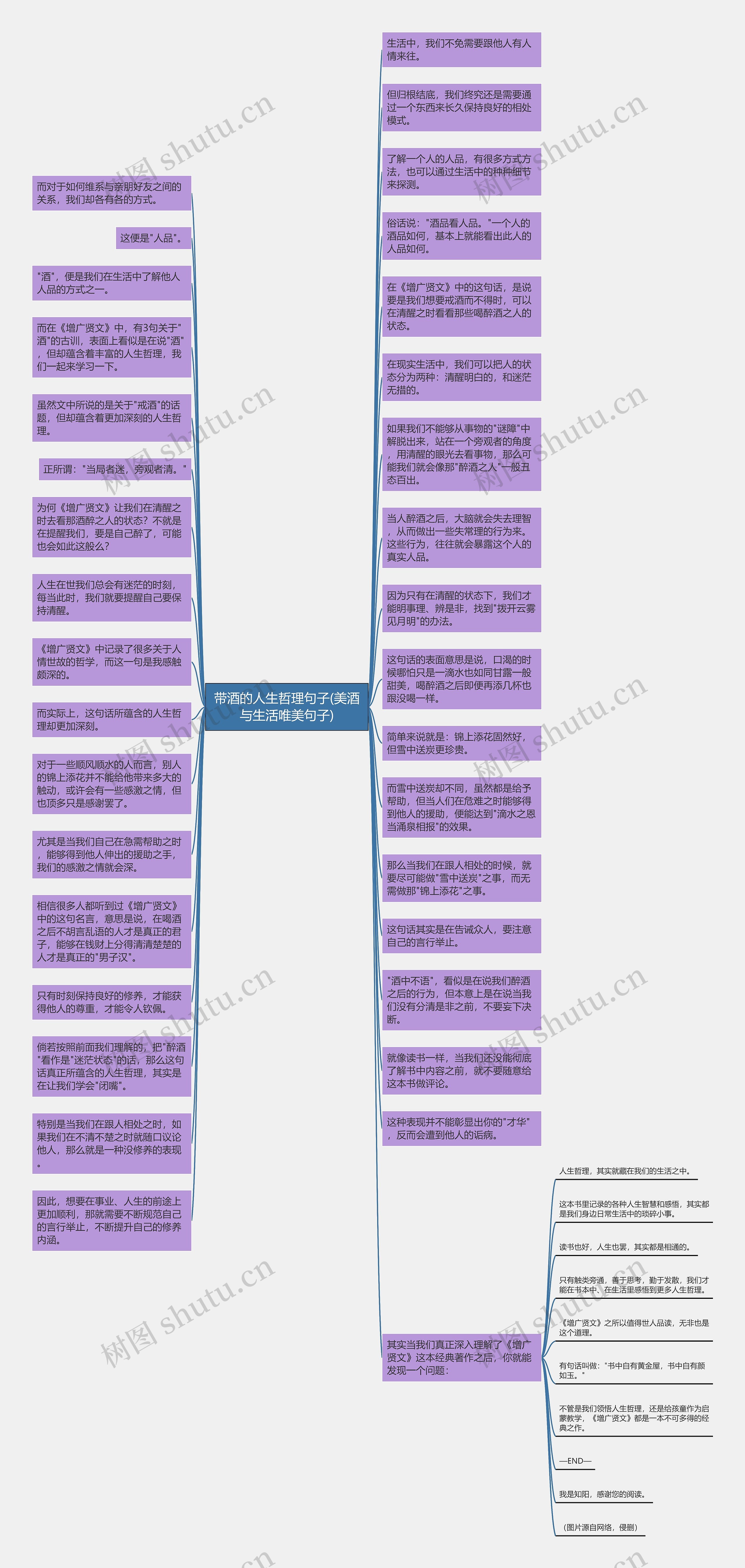 带酒的人生哲理句子(美酒与生活唯美句子)思维导图