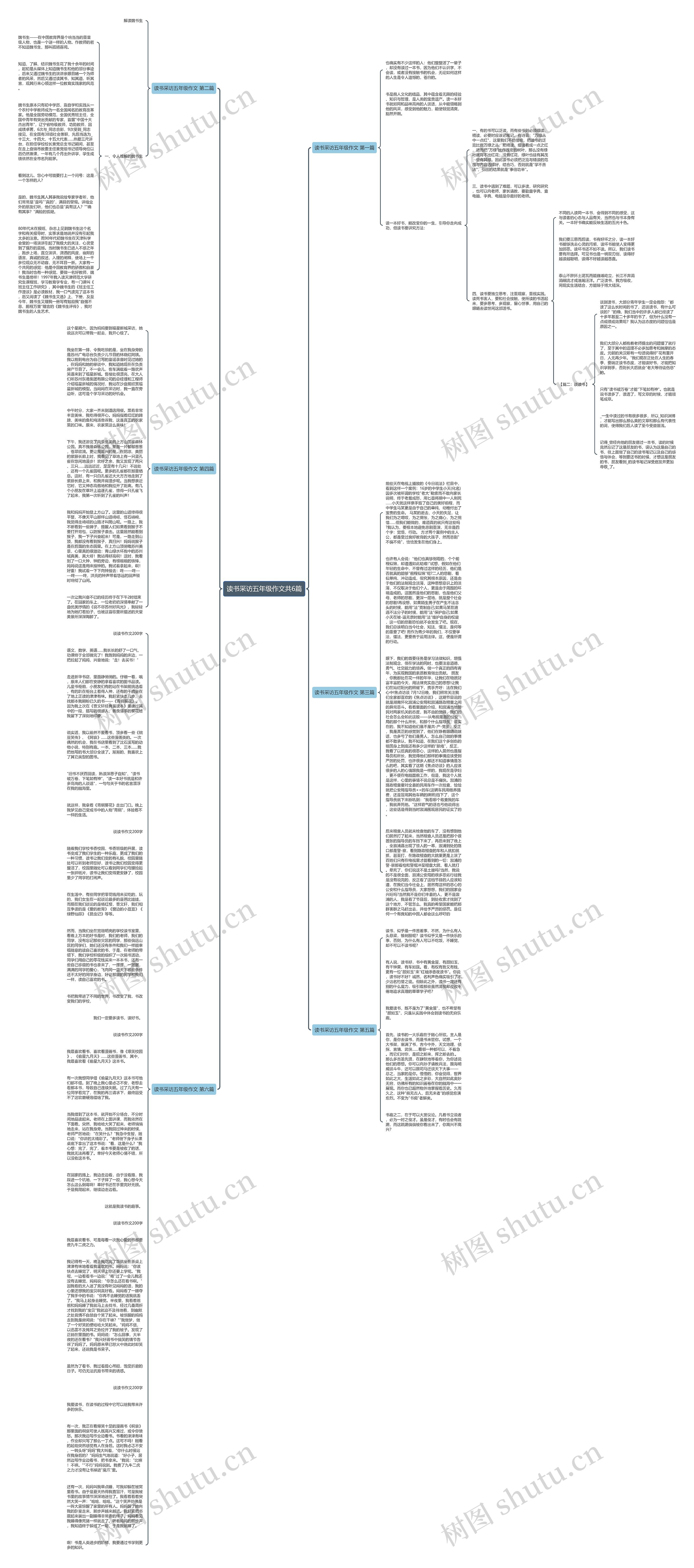 读书采访五年级作文共6篇思维导图