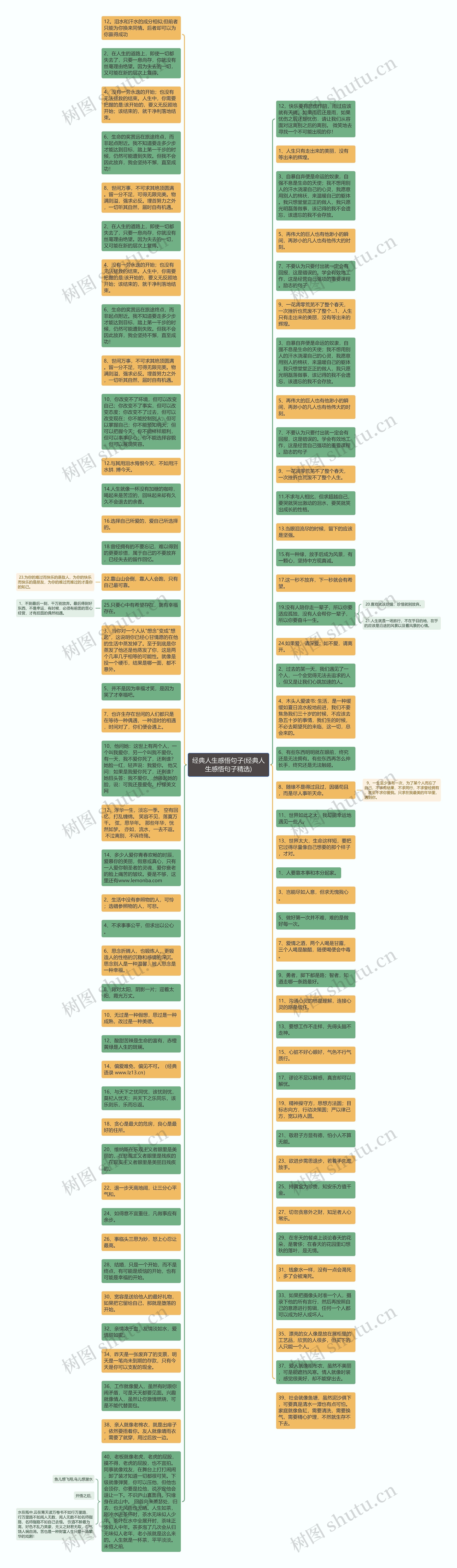 经典人生感悟句子(经典人生感悟句子精选)思维导图