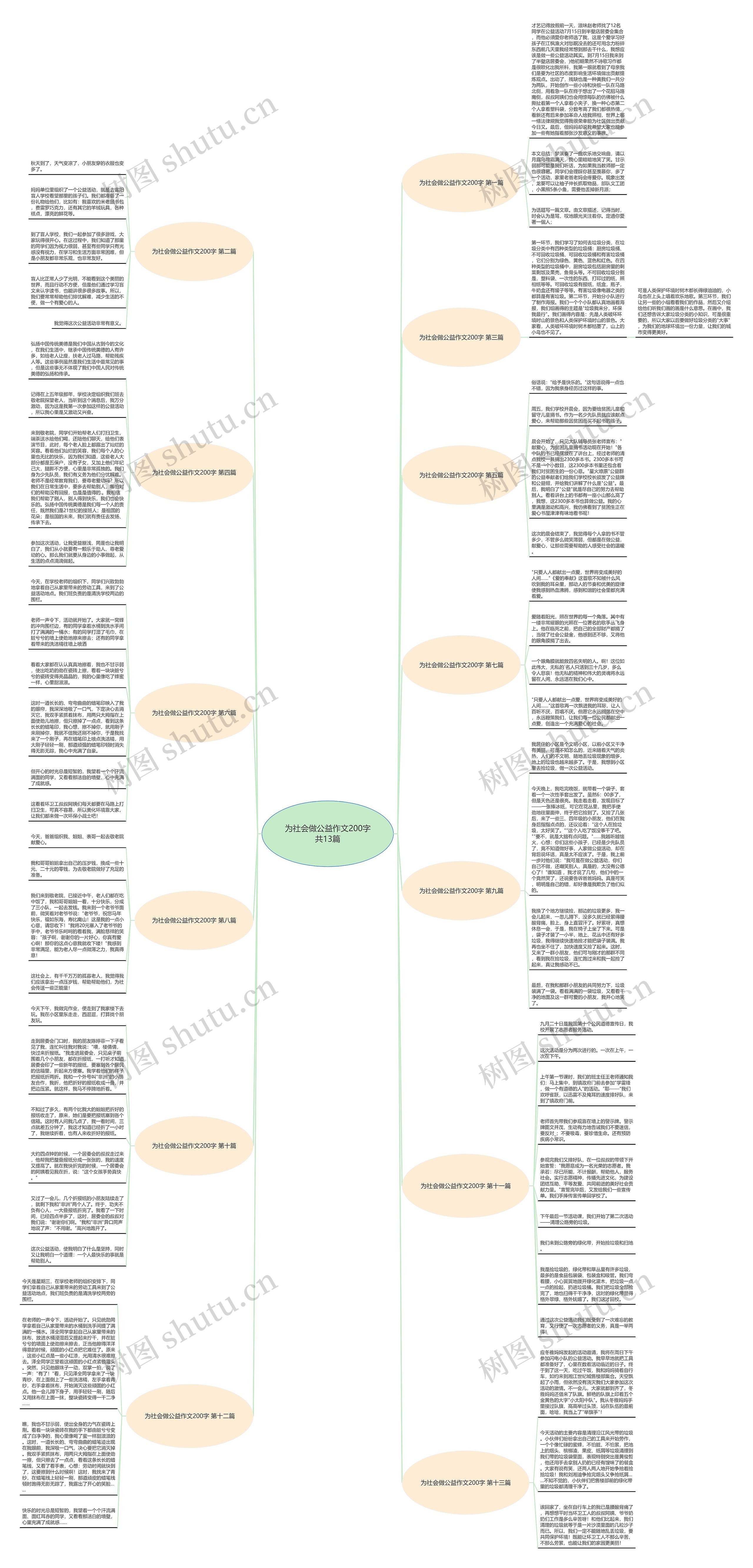 为社会做公益作文200字共13篇思维导图