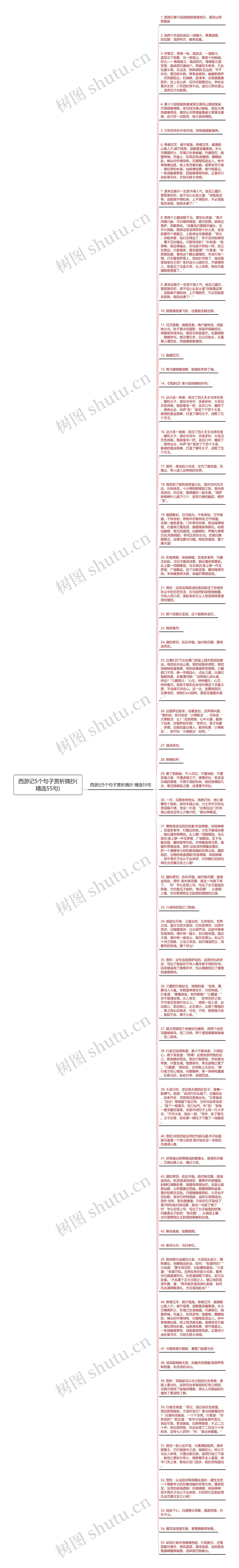 西游记5个句子赏析摘抄(精选55句)思维导图