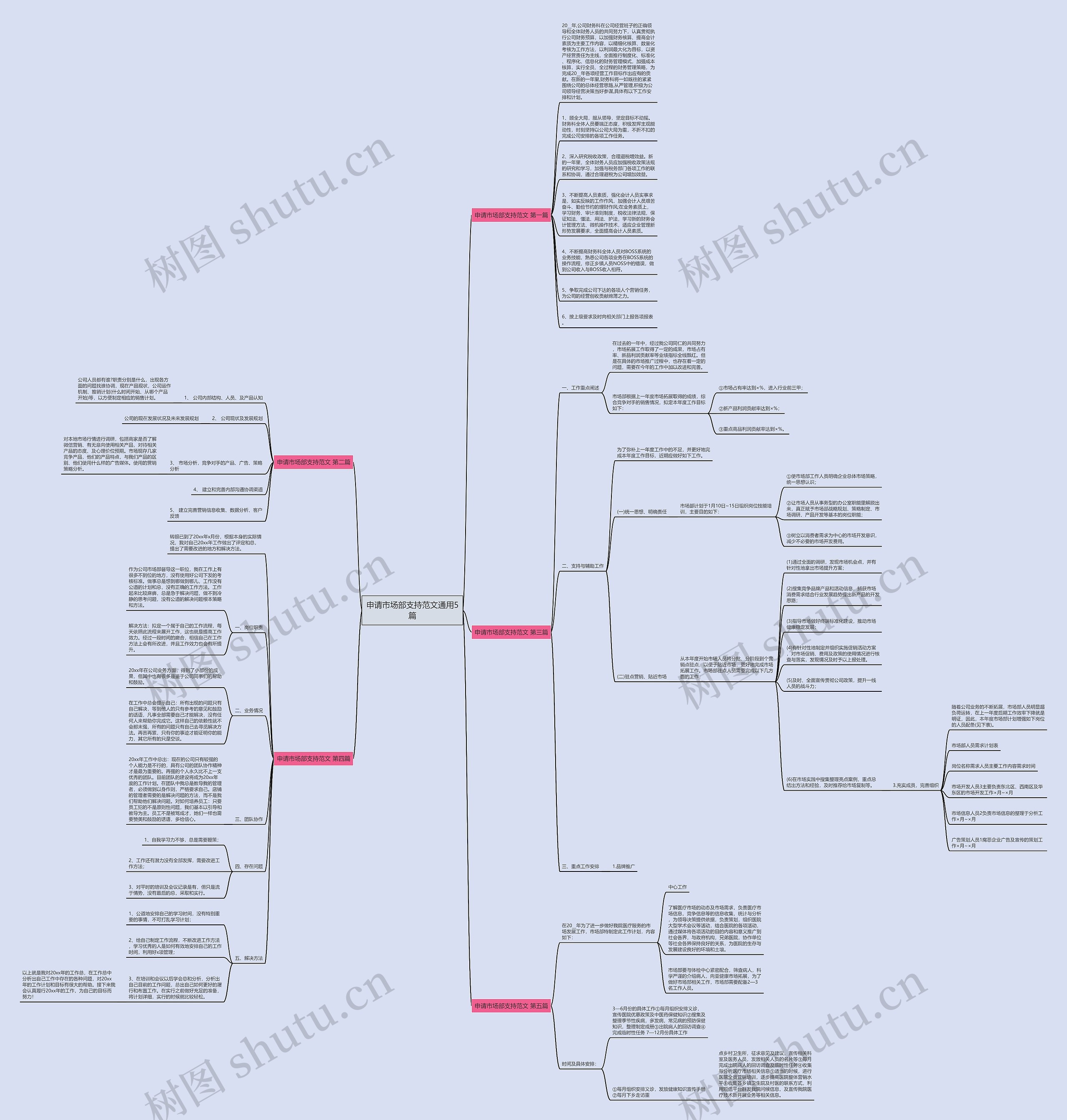 申请市场部支持范文通用5篇思维导图