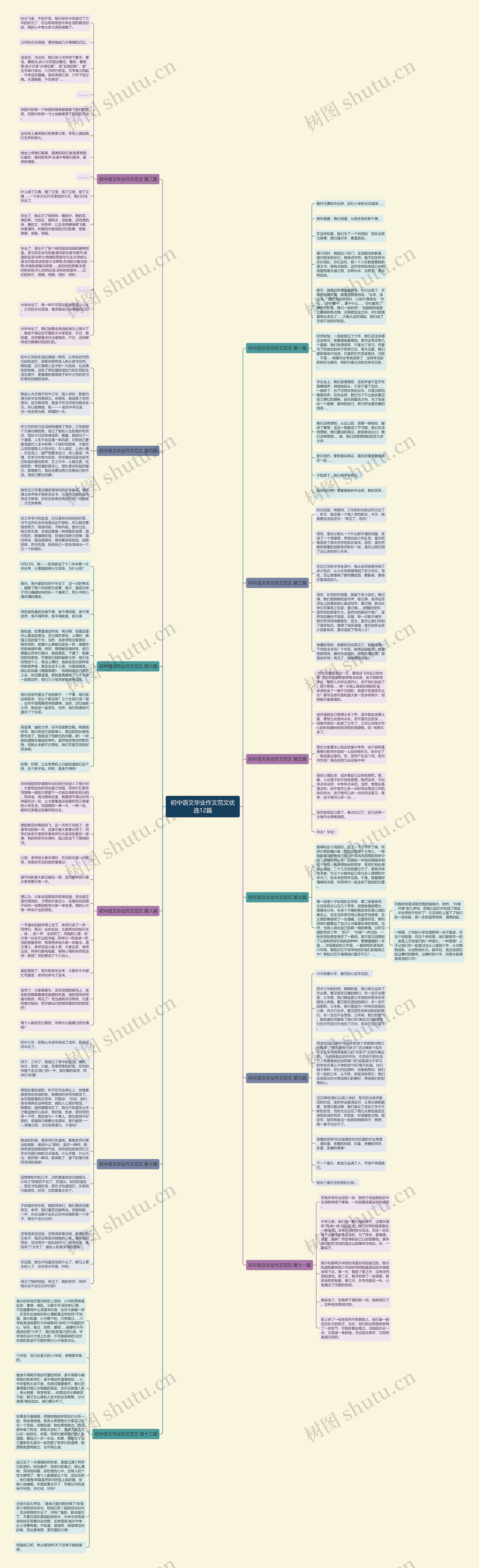 初中语文毕业作文范文优选12篇思维导图