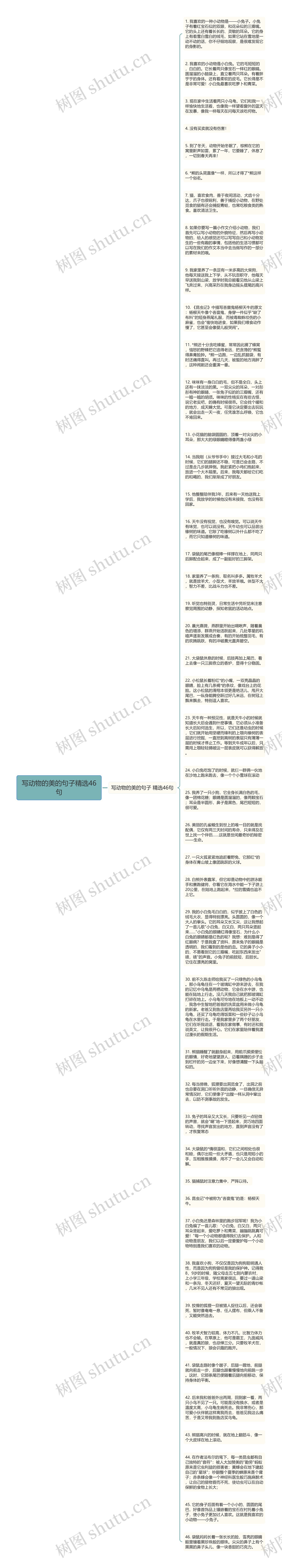 写动物的美的句子精选46句思维导图