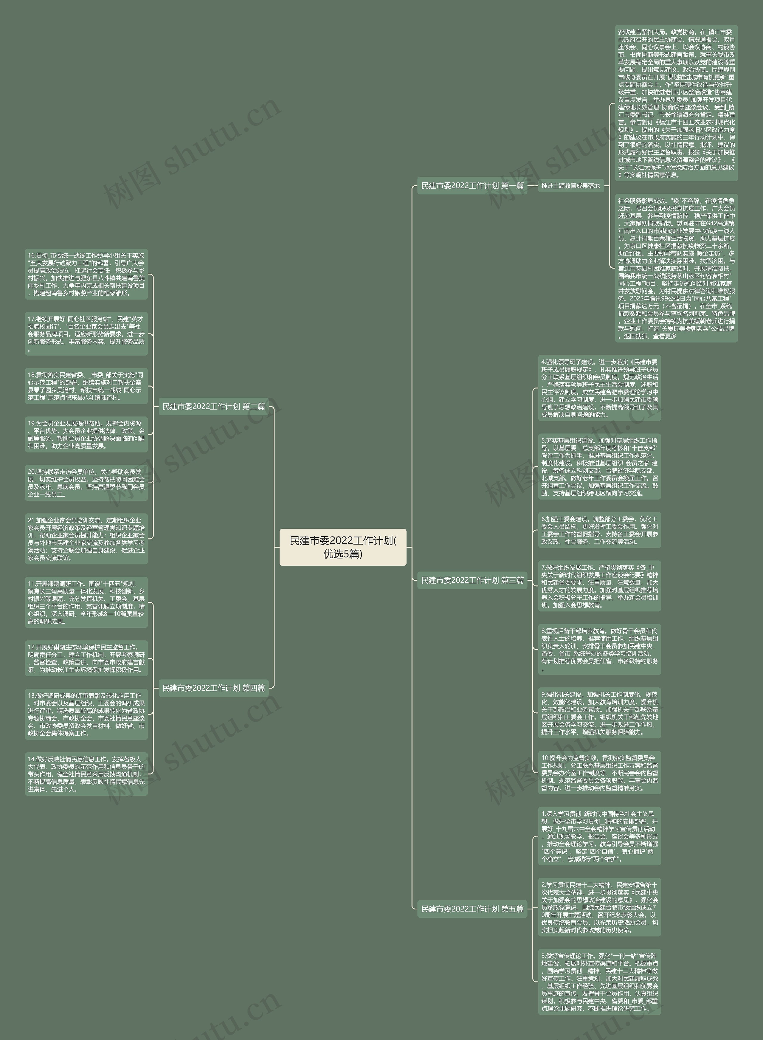 民建市委2022工作计划(优选5篇)思维导图