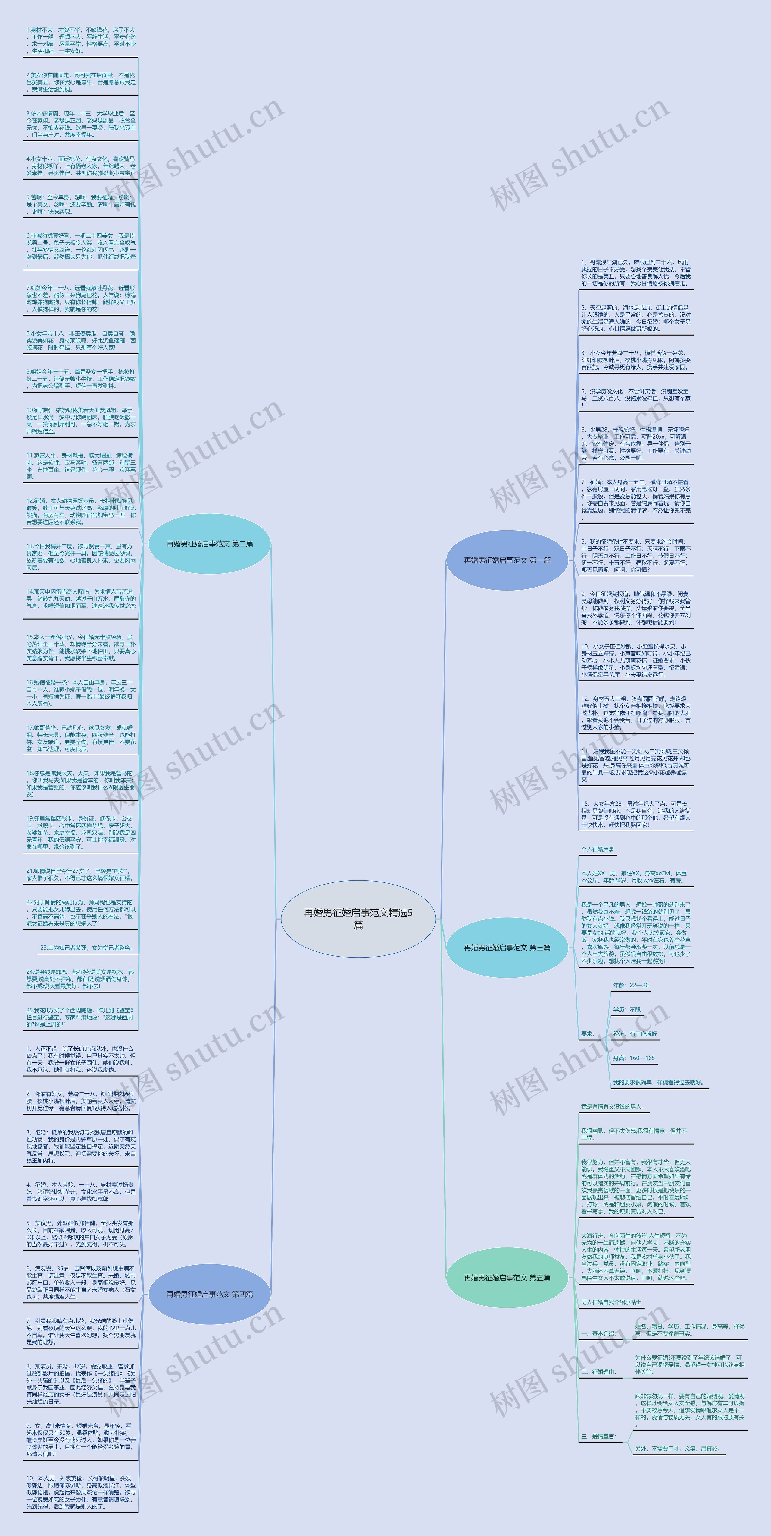 再婚男征婚启事范文精选5篇思维导图