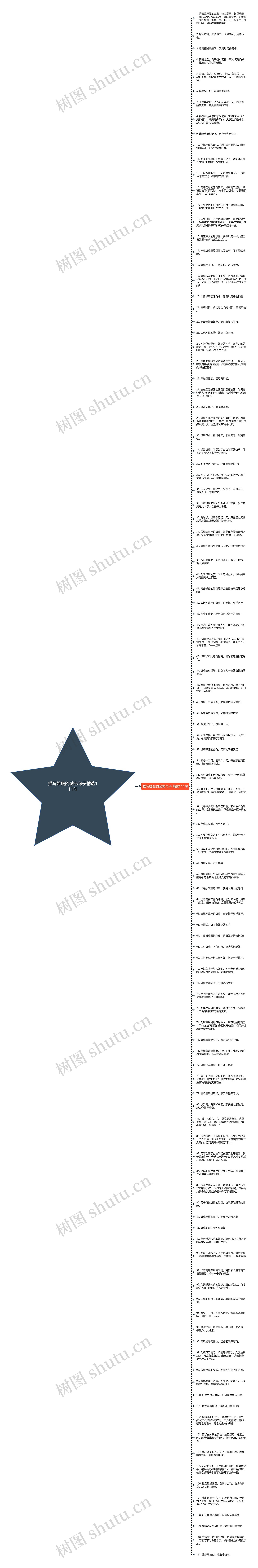 描写雄鹰的励志句子精选111句思维导图