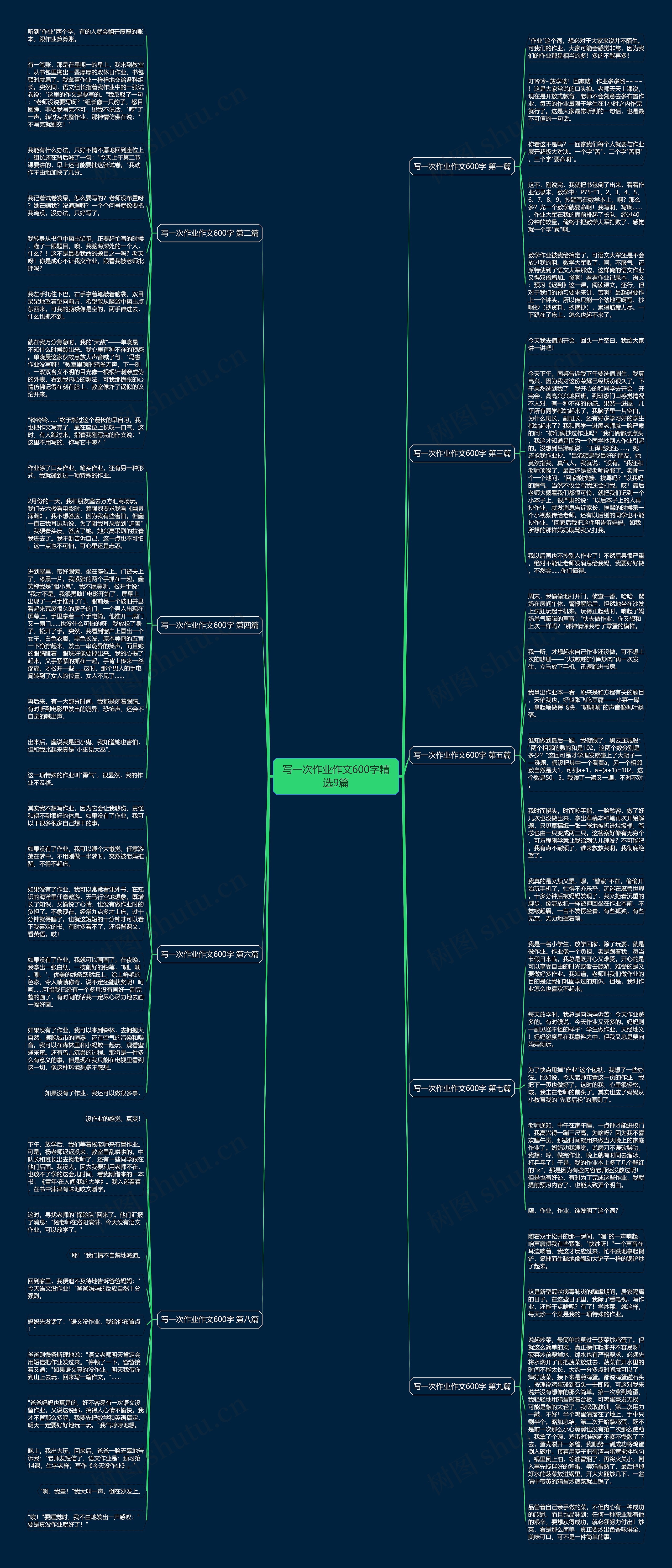 写一次作业作文600字精选9篇思维导图