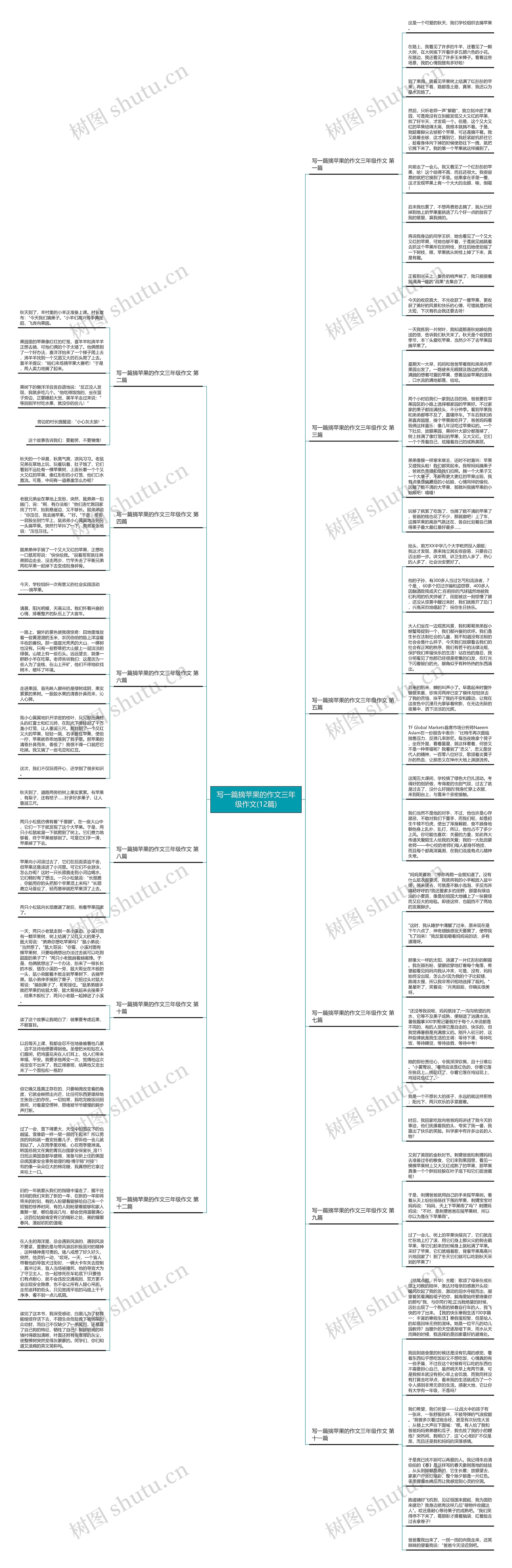 写一篇摘苹果的作文三年级作文(12篇)思维导图