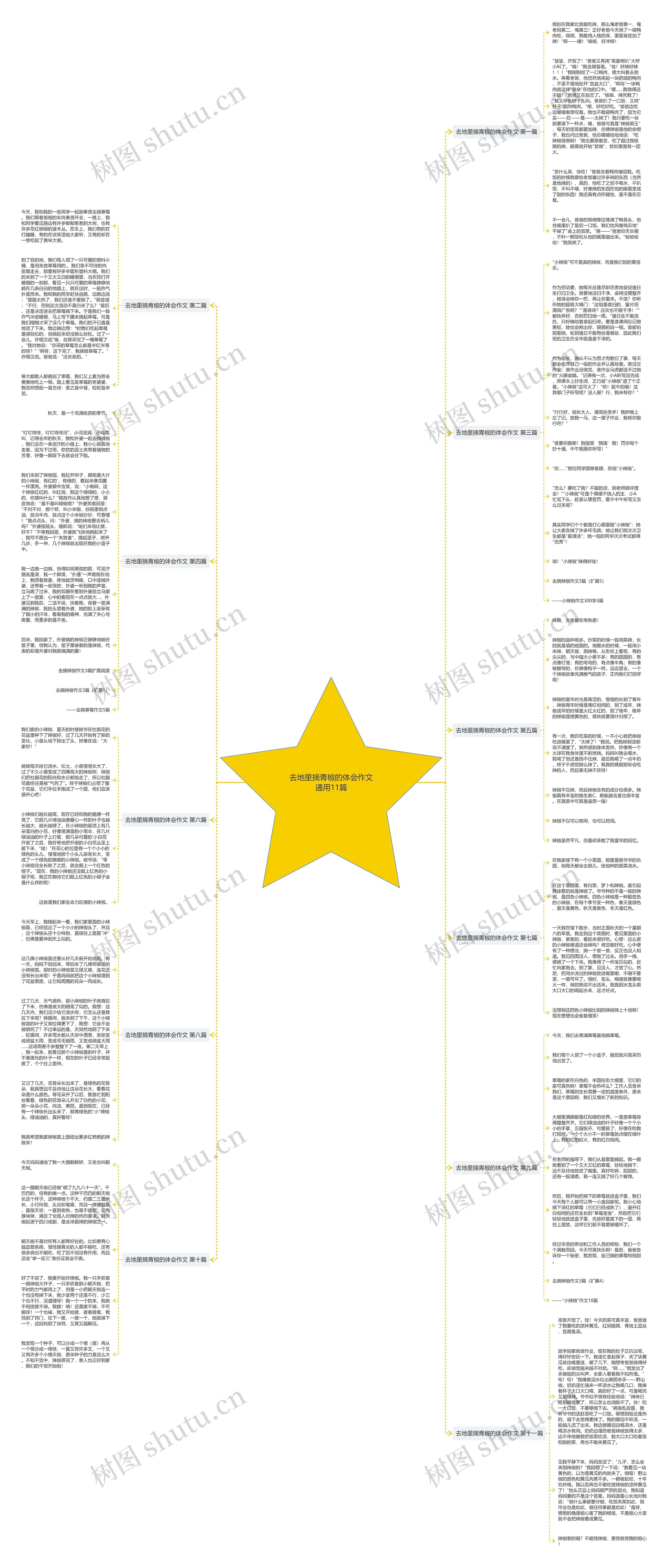 去地里摘青椒的体会作文通用11篇思维导图