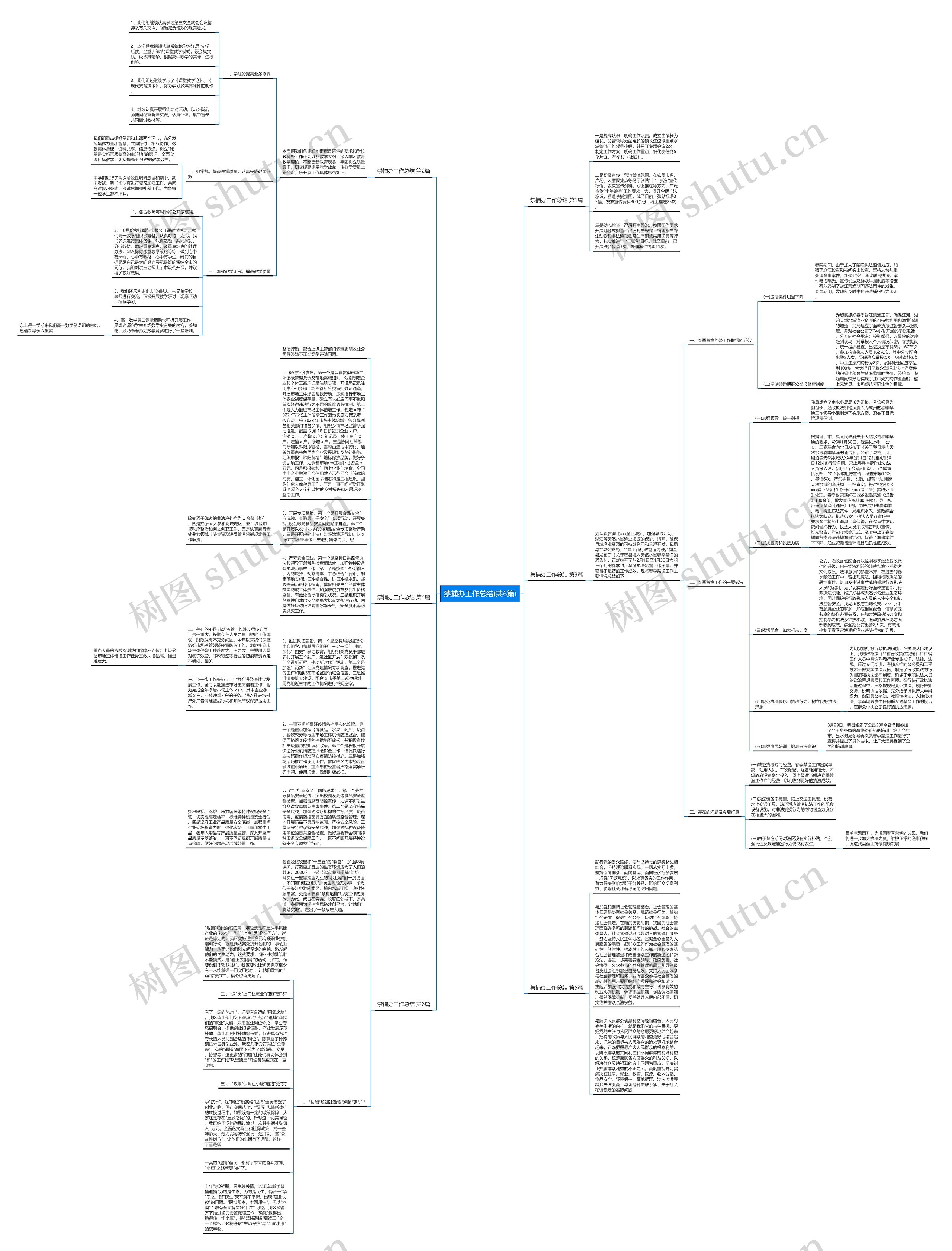 禁捕办工作总结(共6篇)思维导图