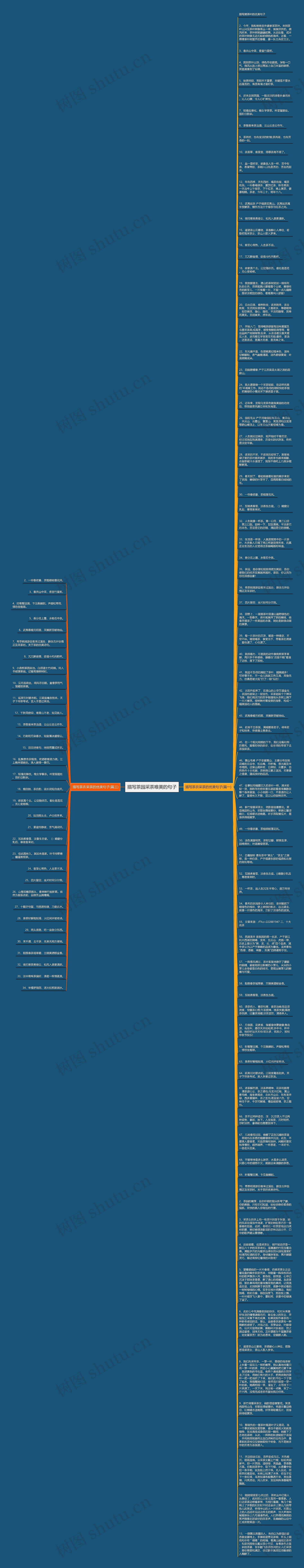 描写茶园采茶唯美的句子思维导图