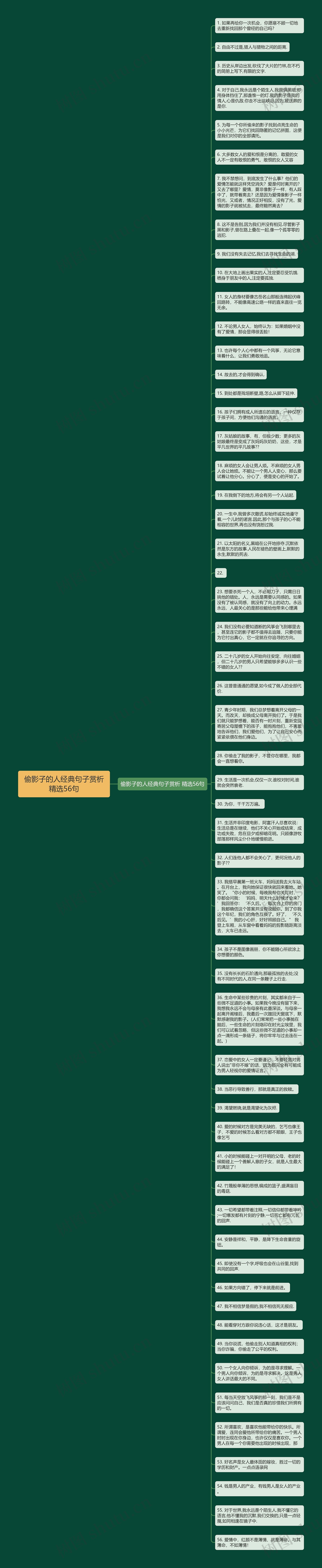 偷影子的人经典句子赏析精选56句思维导图