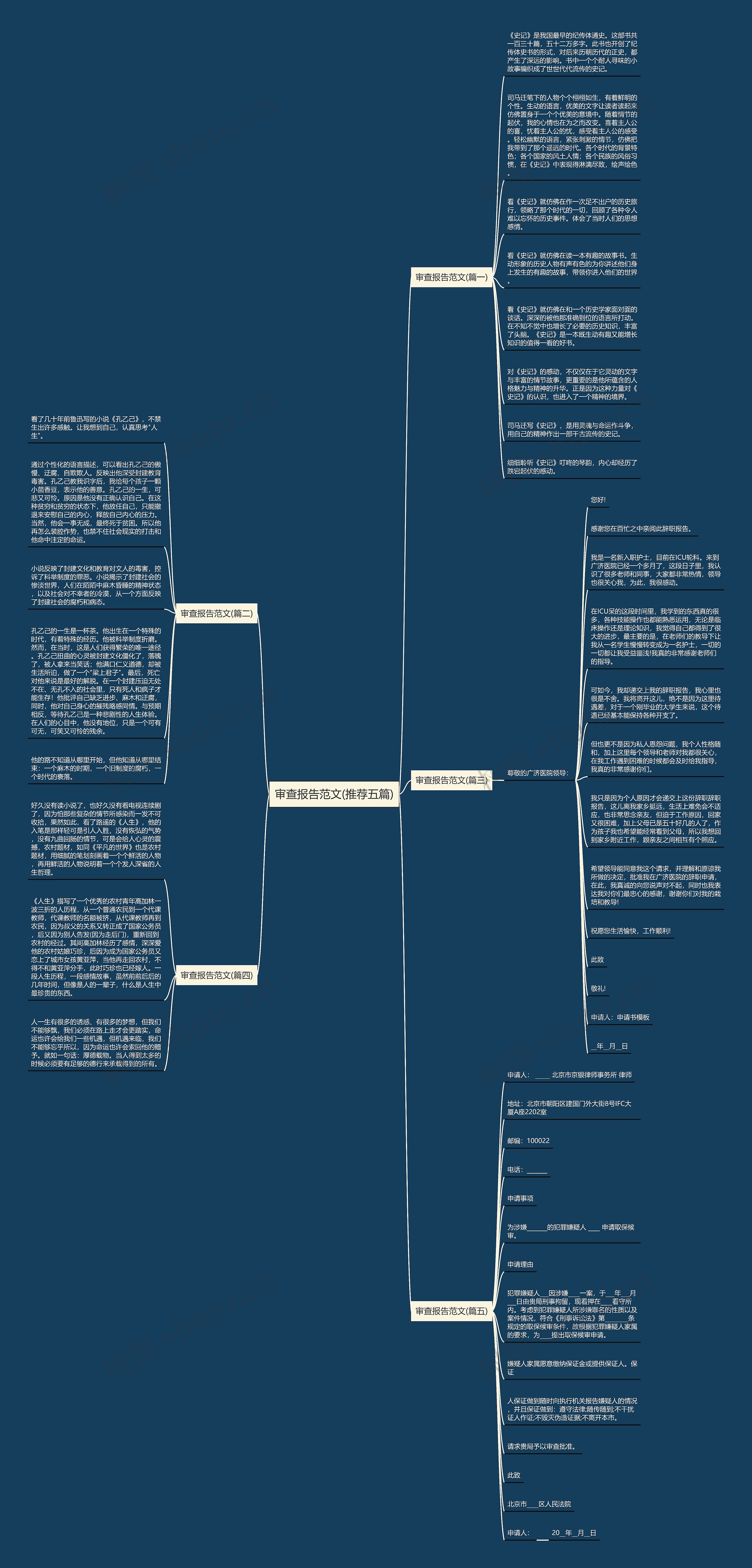 审查报告范文(推荐五篇)思维导图