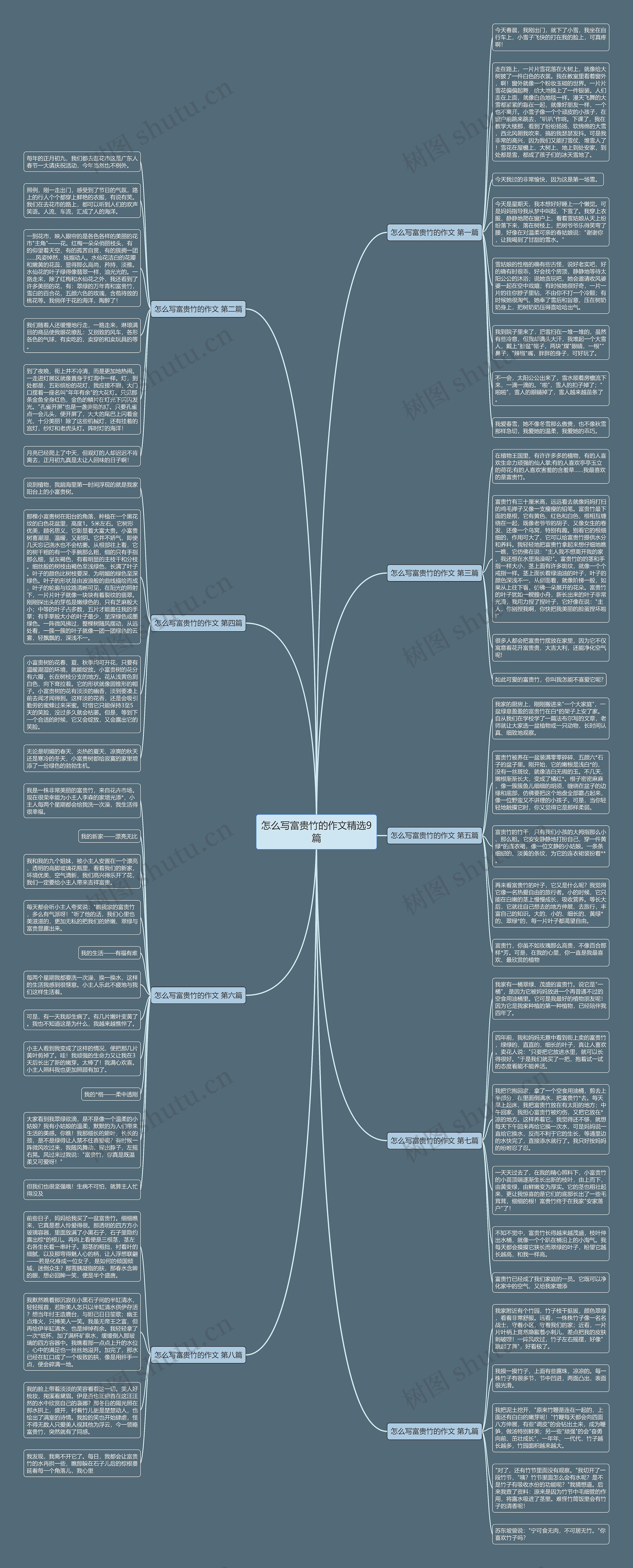 怎么写富贵竹的作文精选9篇思维导图