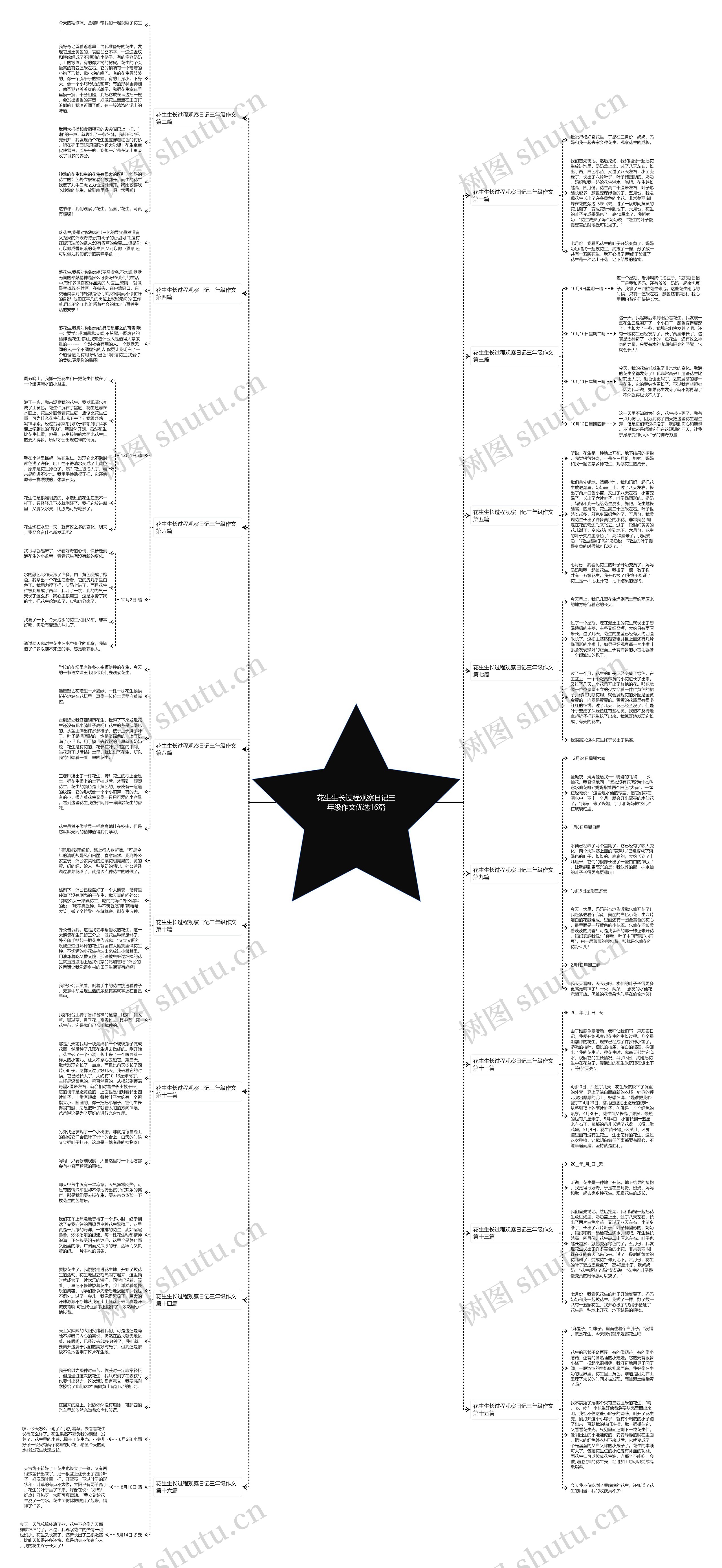 花生生长过程观察日记三年级作文优选16篇 花生生长过程观察日记三年级作文优选16篇