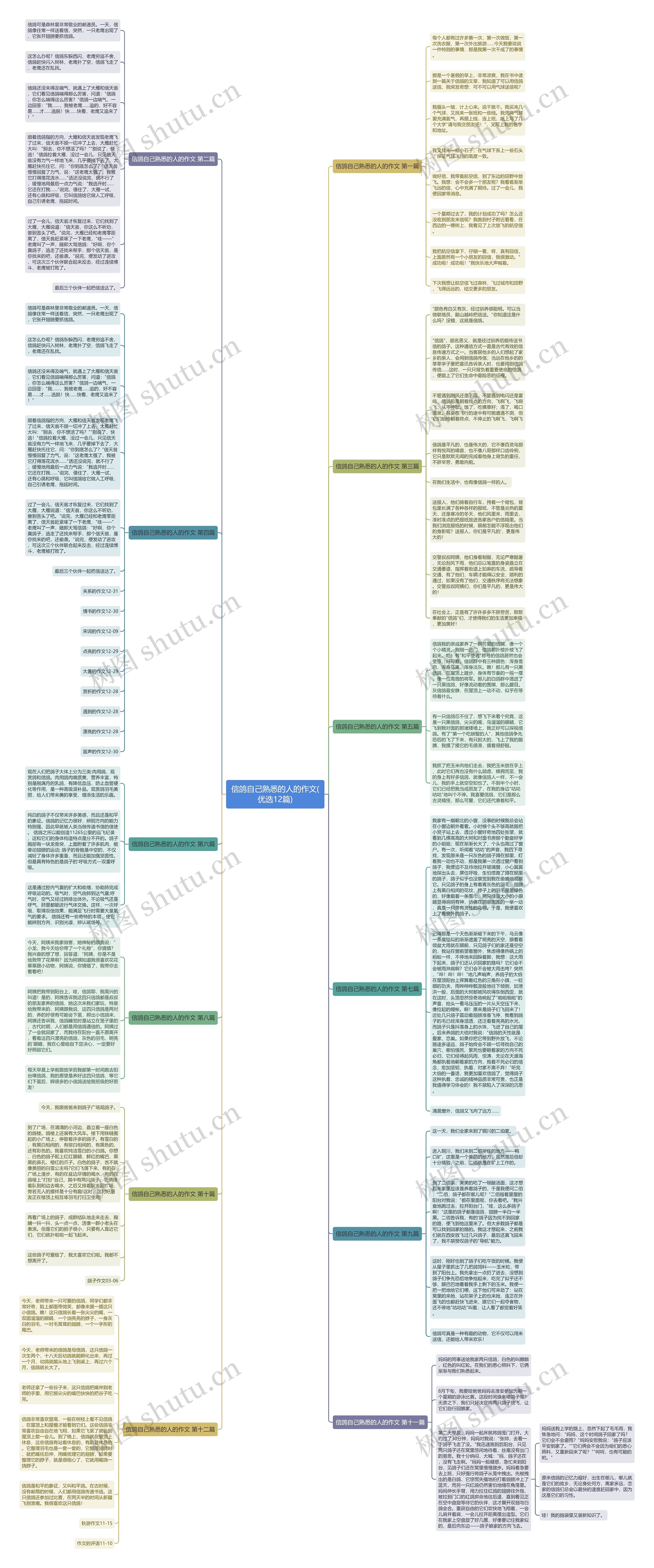 信鸽自己熟悉的人的作文(优选12篇)思维导图