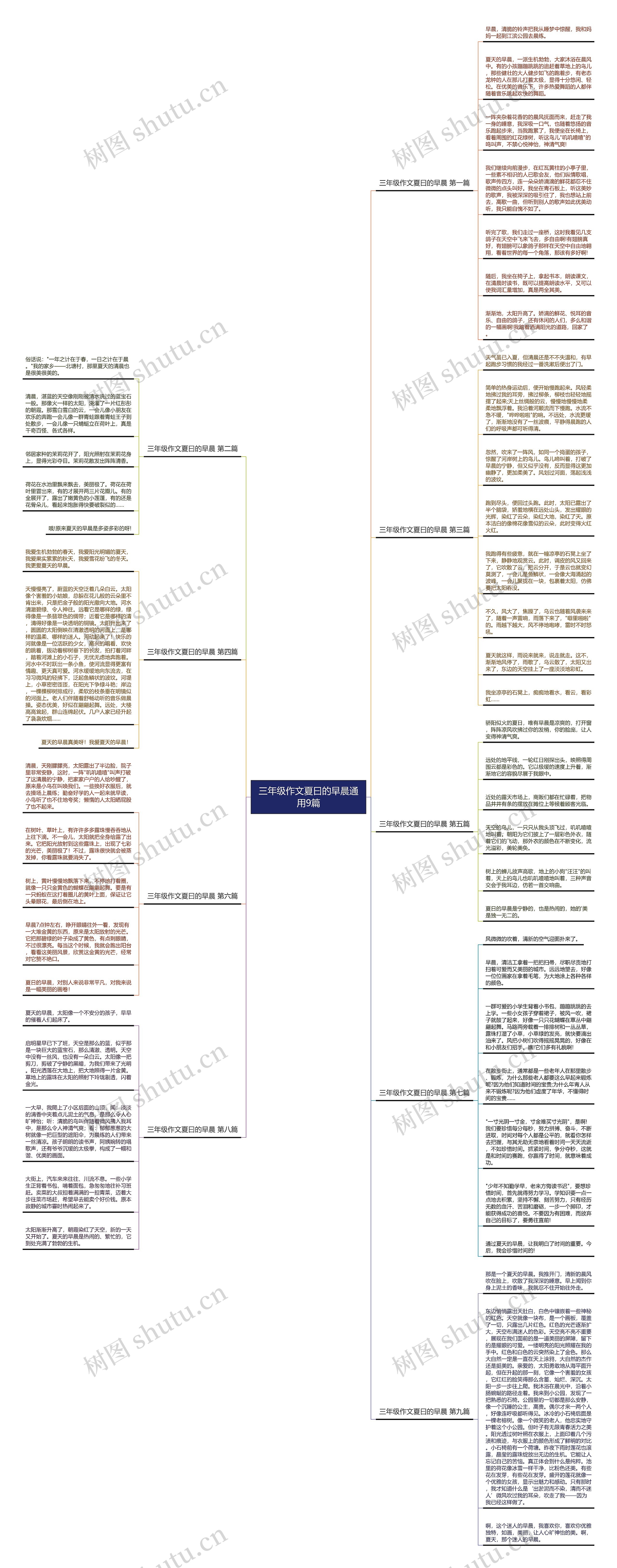 三年级作文夏曰的早晨通用9篇思维导图