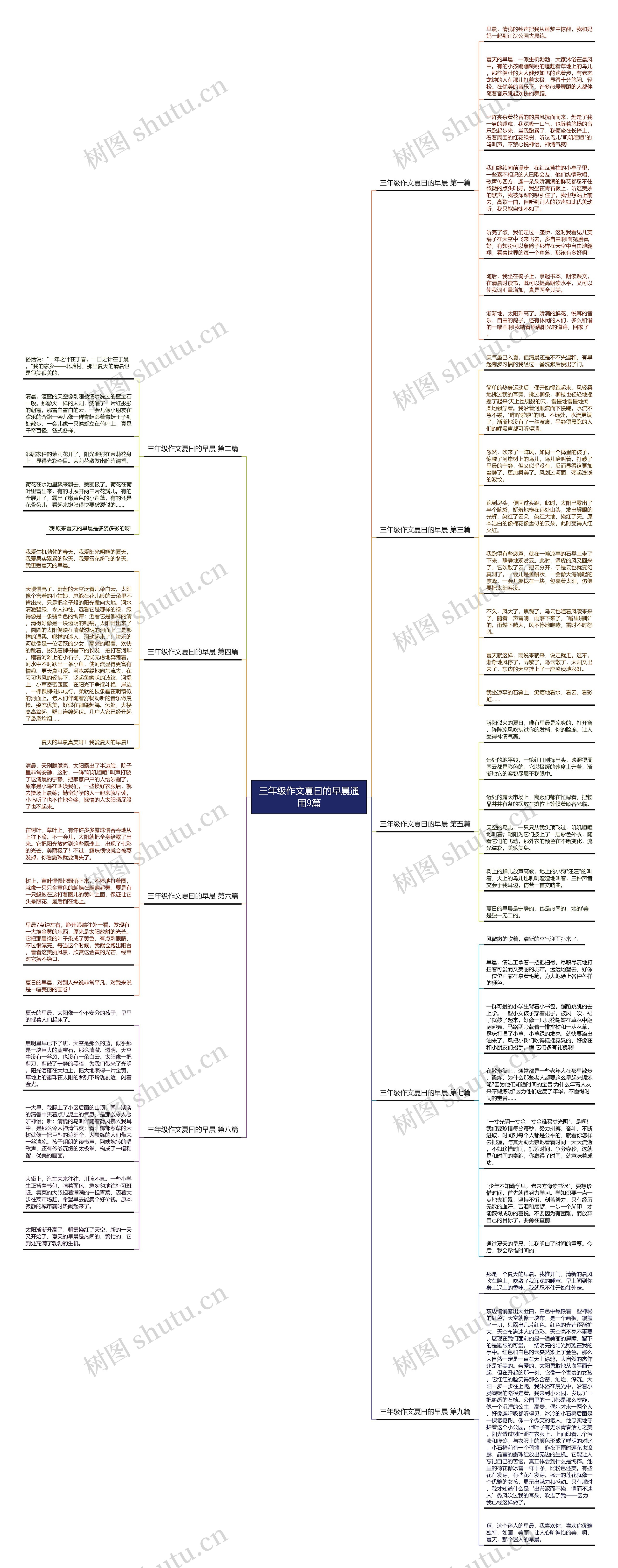 三年级作文夏曰的早晨通用9篇 三年级作文夏曰的早晨通用9篇