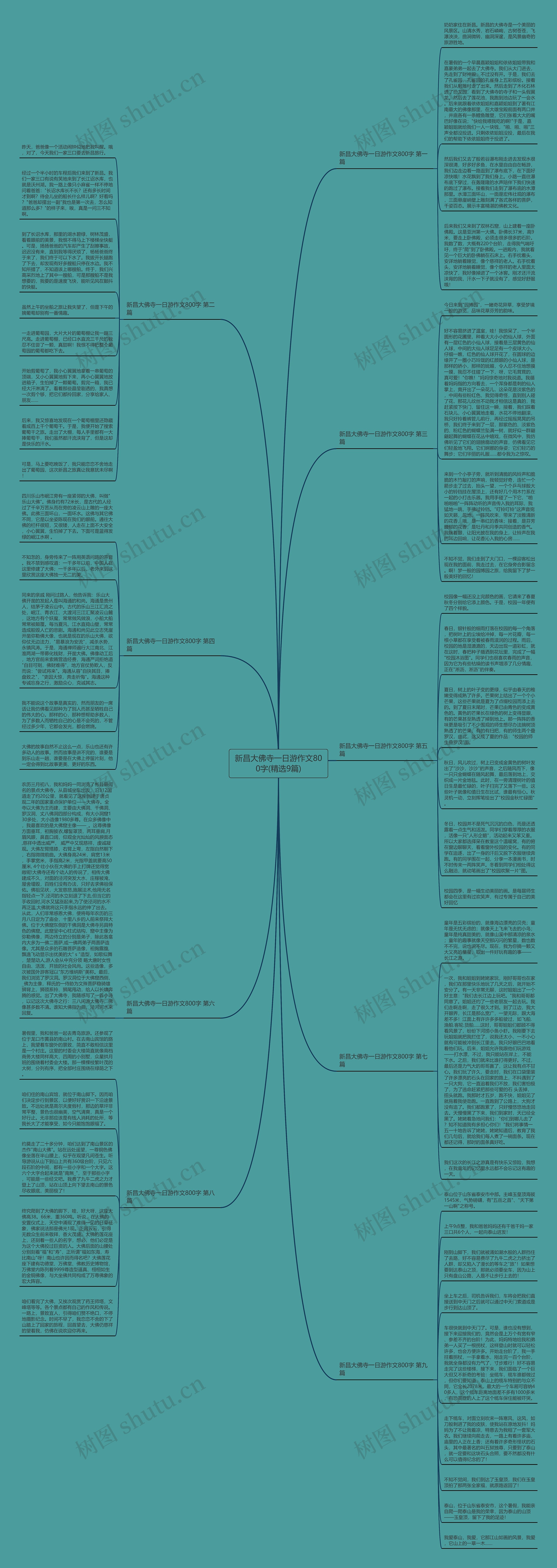 新昌大佛寺一日游作文800字(精选9篇)思维导图