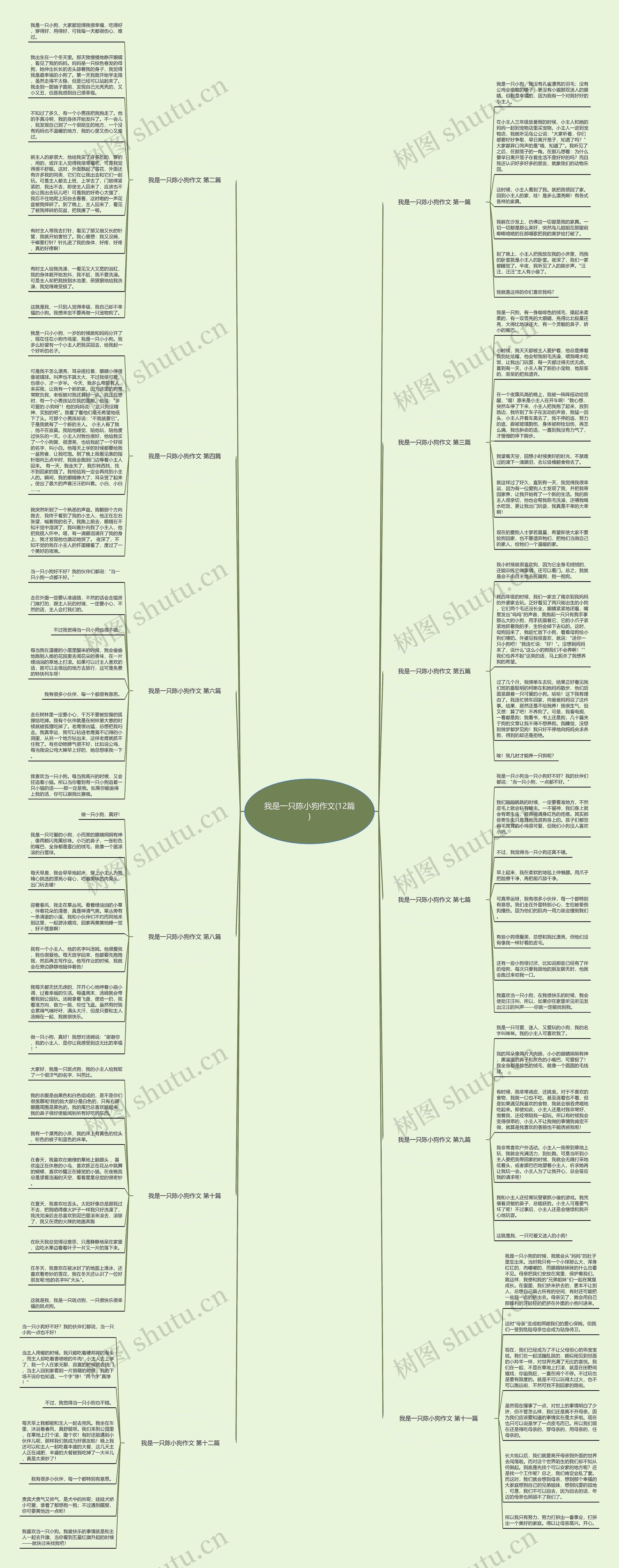 我是一只陈小狗作文(12篇)