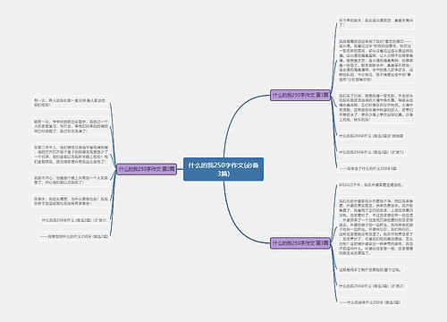 什么的我250字作文(必备3篇)