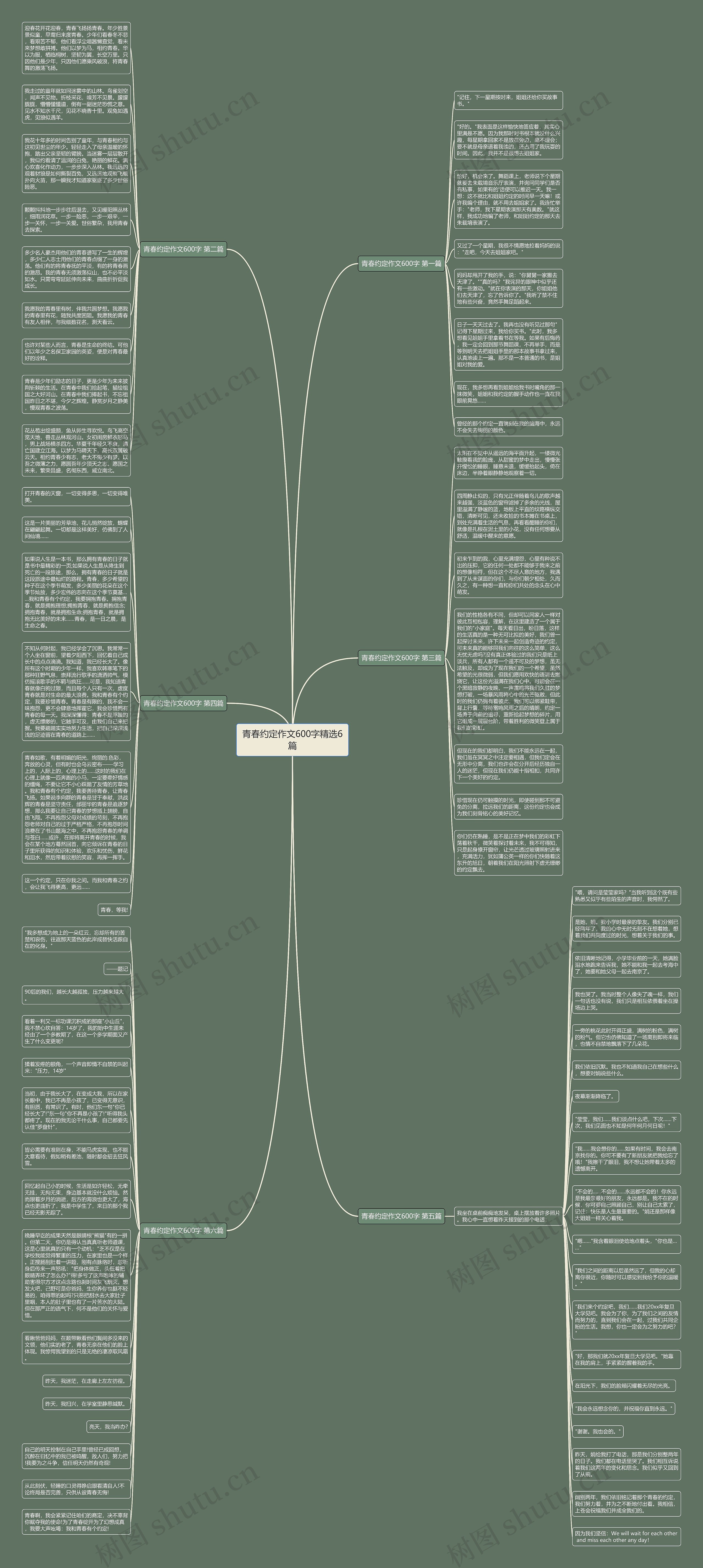 青春约定作文600字精选6篇思维导图