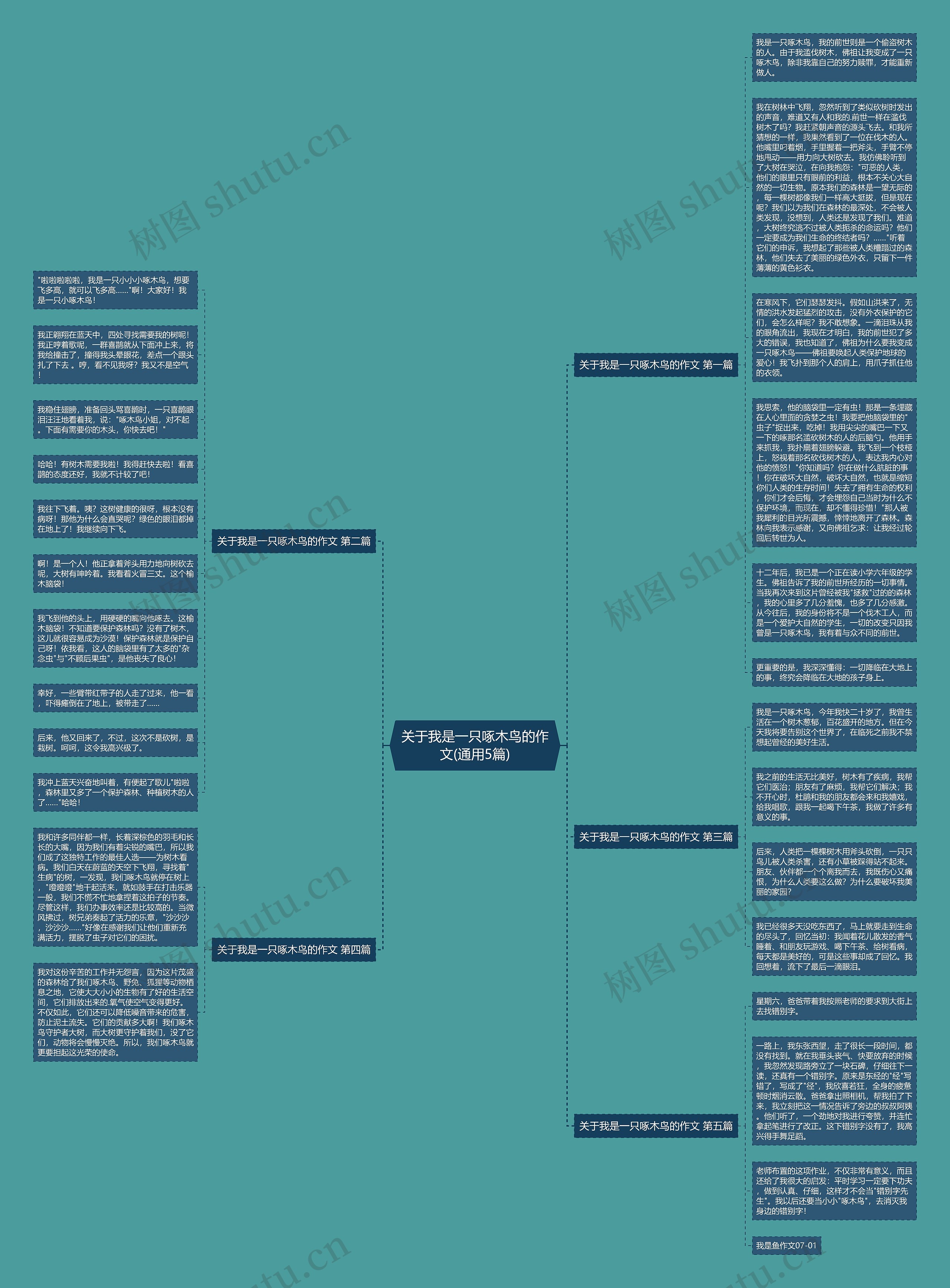 关于我是一只啄木鸟的作文(通用5篇)思维导图