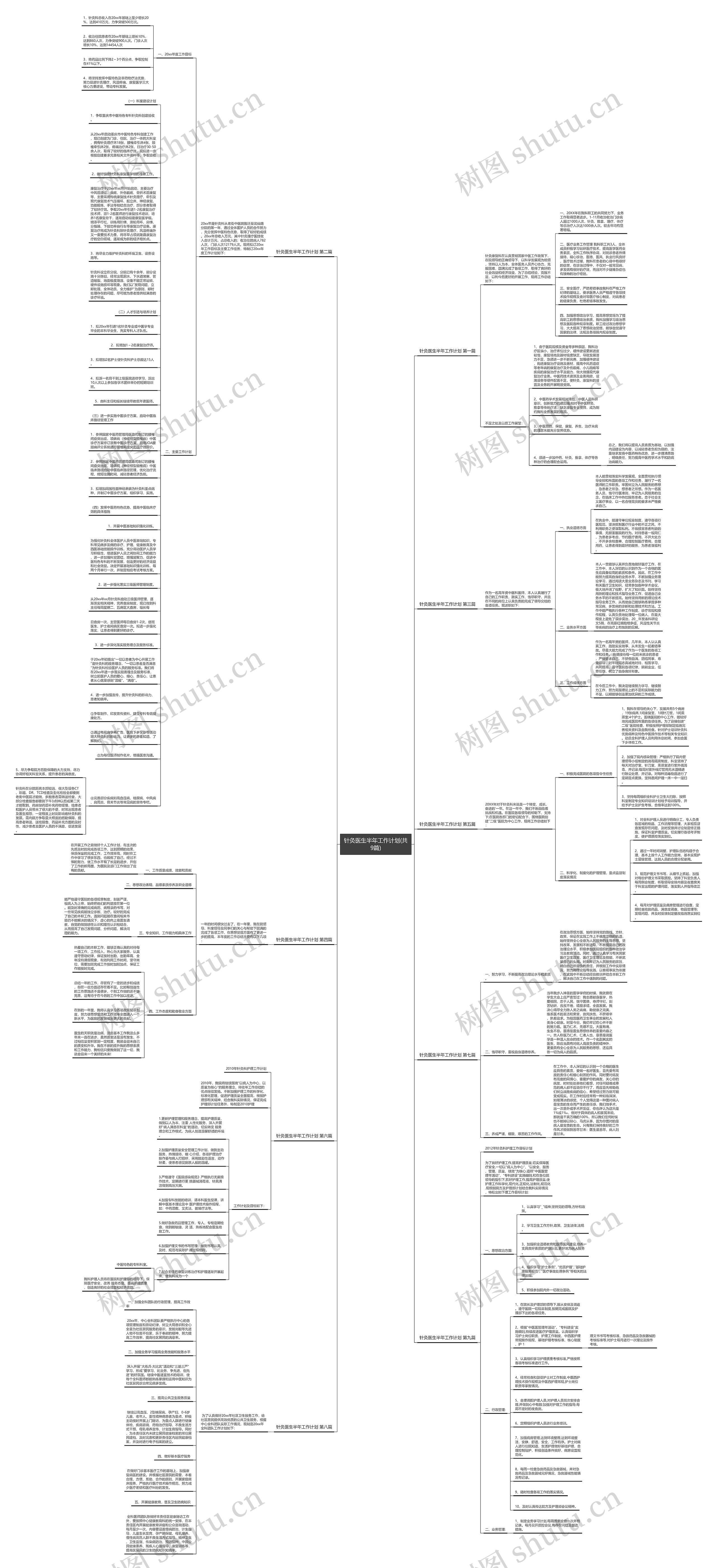 针灸医生半年工作计划(共9篇)思维导图