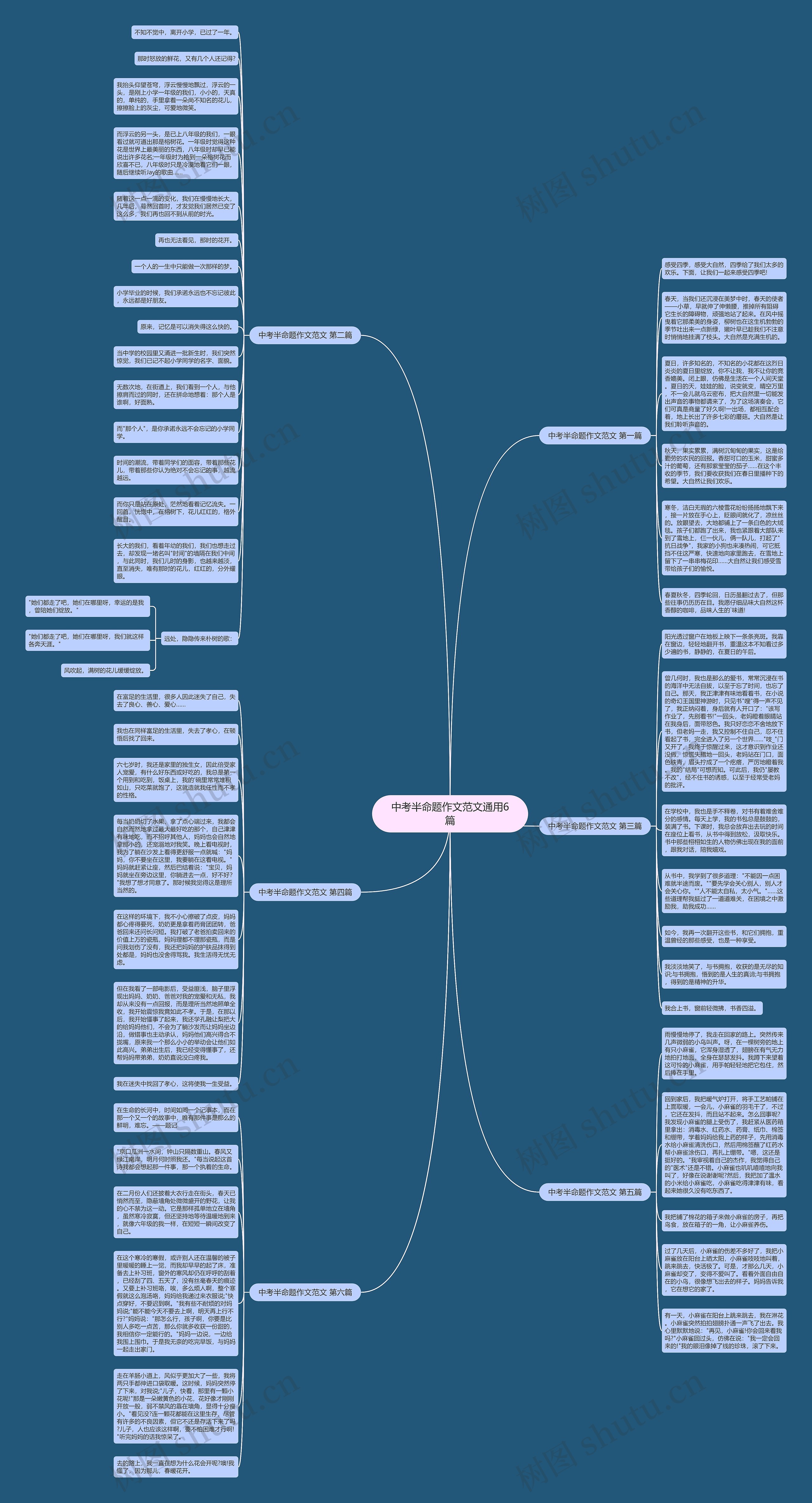 中考半命题作文范文通用6篇思维导图