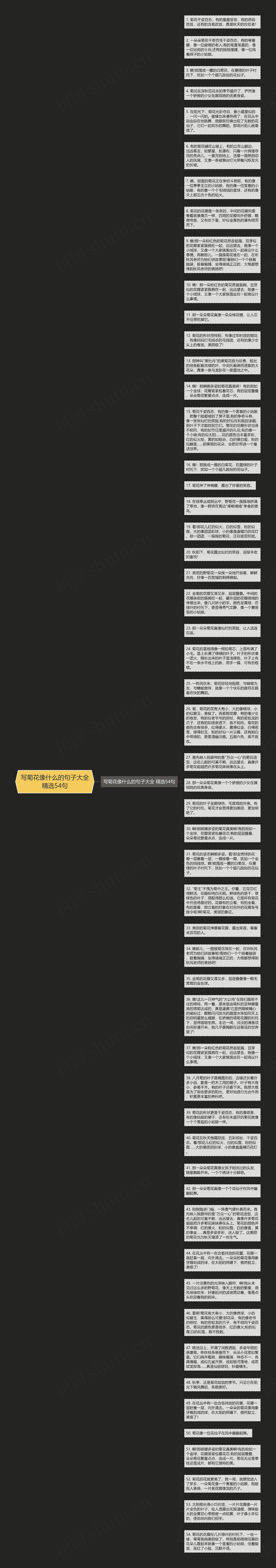 写菊花像什么的句子大全精选54句