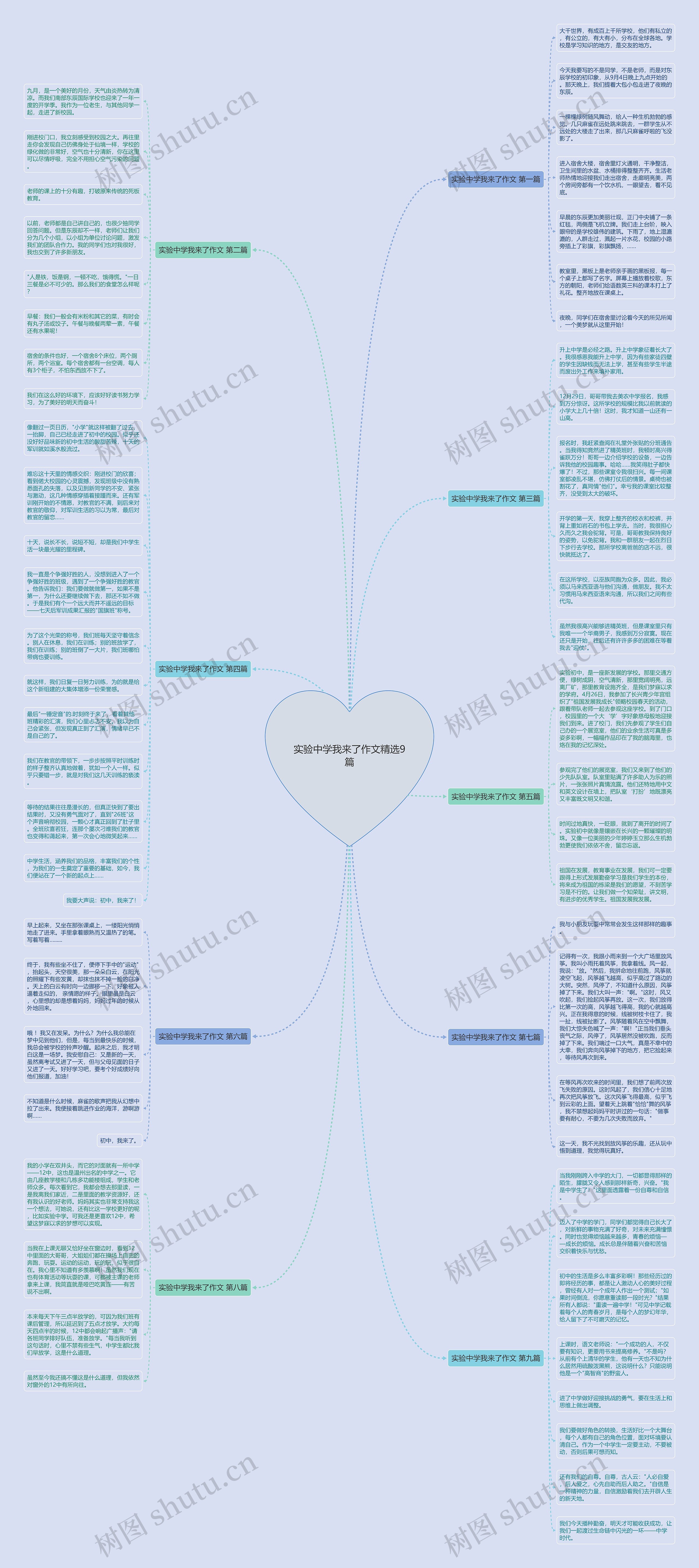 实验中学我来了作文精选9篇思维导图