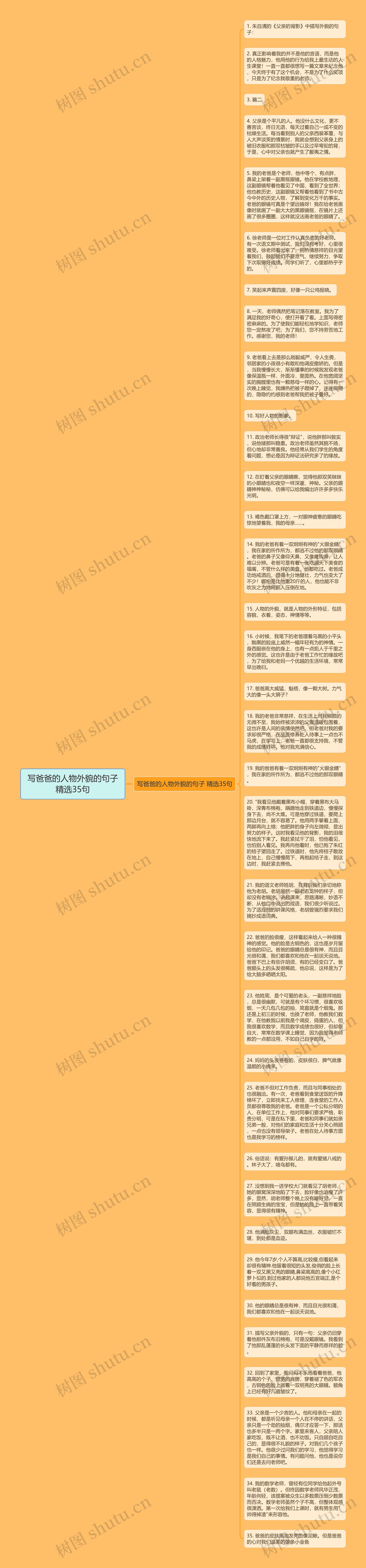 写爸爸的人物外貌的句子精选35句思维导图