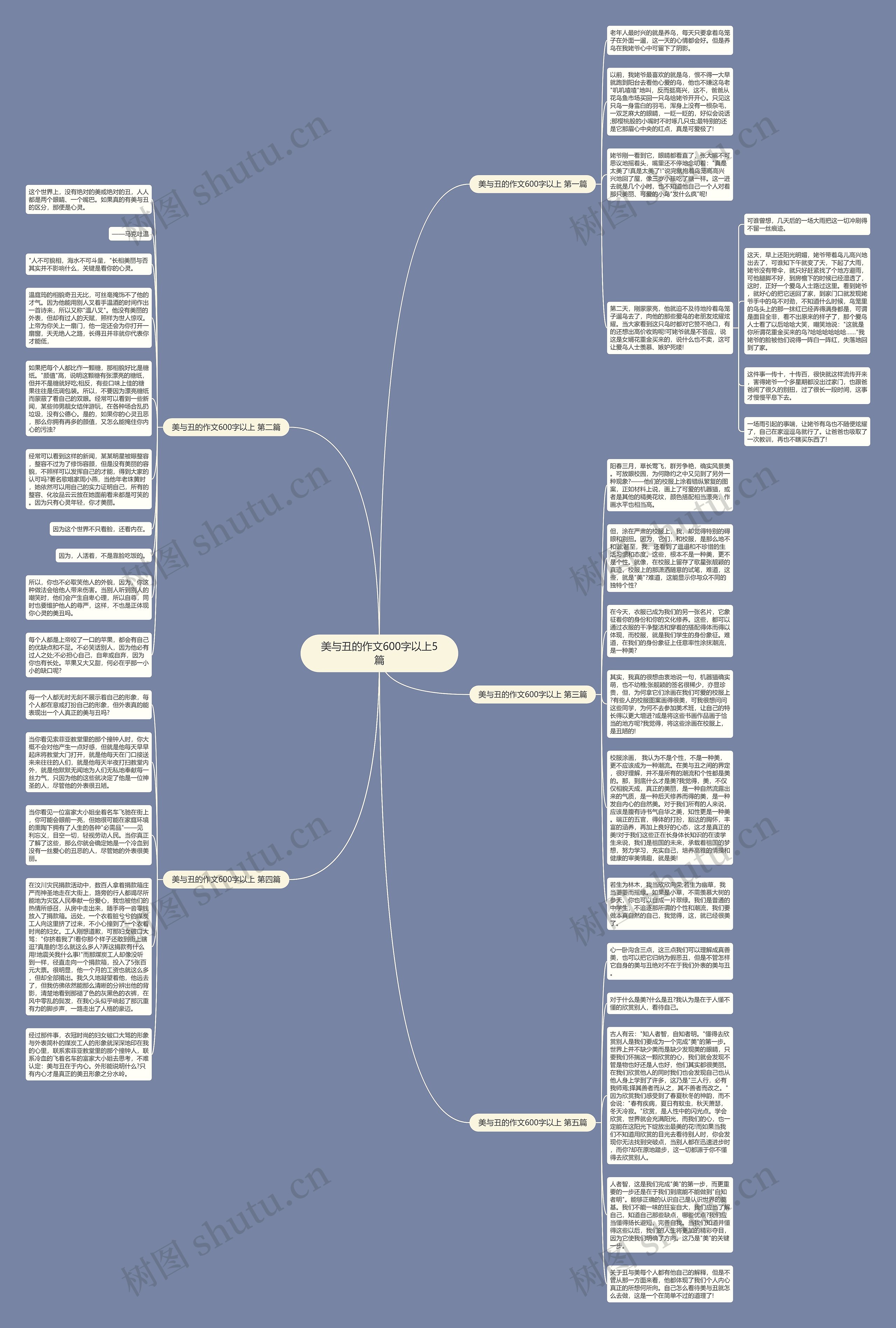 美与丑的作文600字以上5篇思维导图