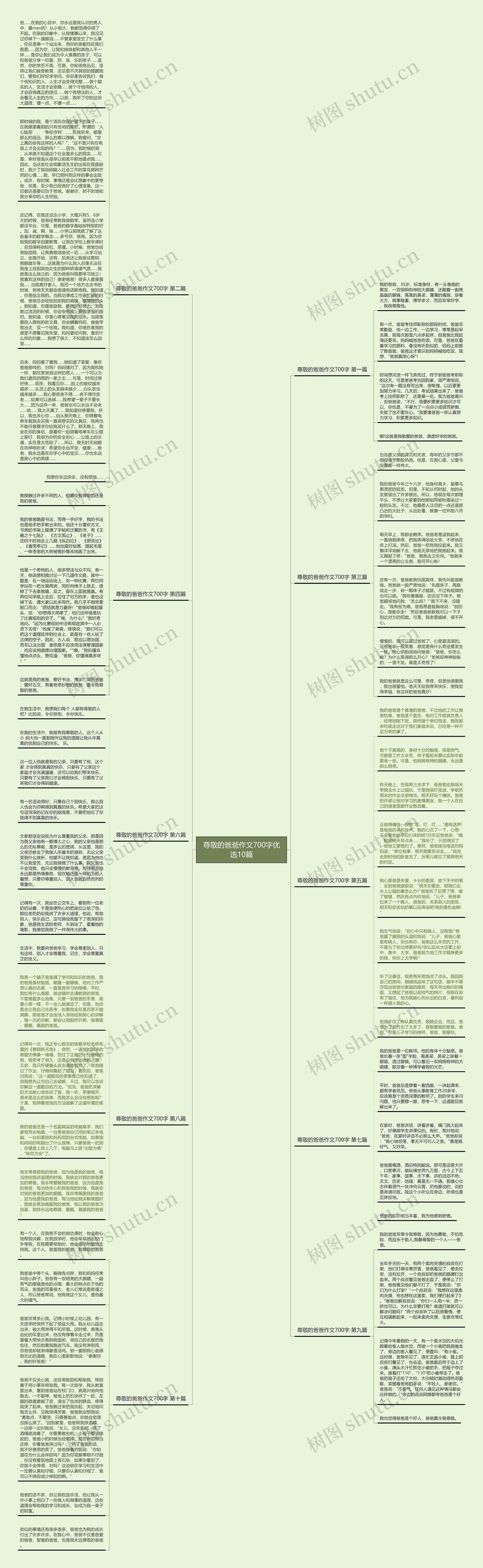 尊敬的爸爸作文700字优选10篇思维导图