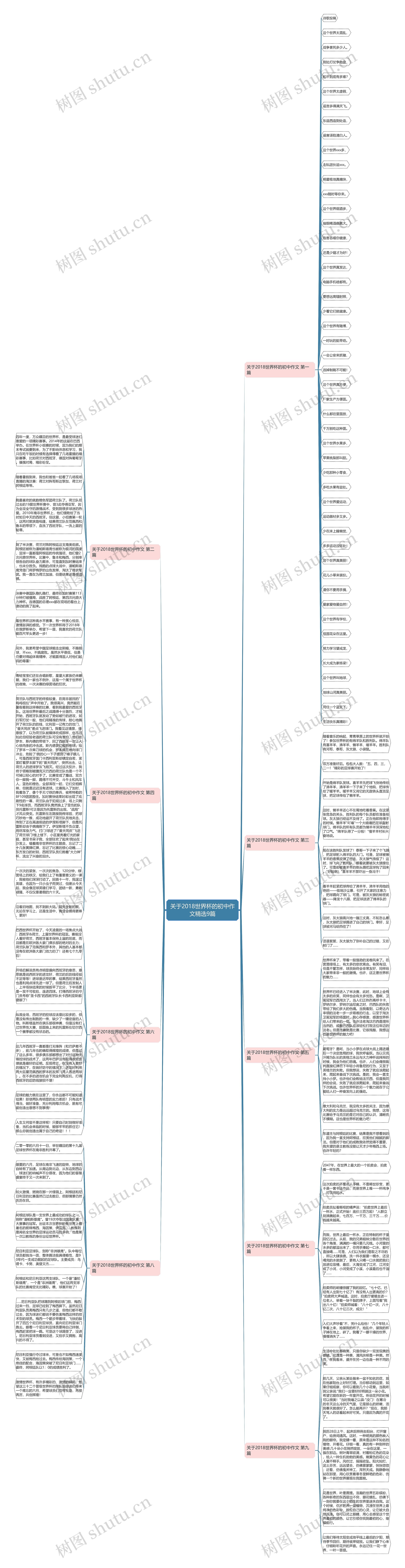 关于2018世界杯的初中作文精选9篇思维导图